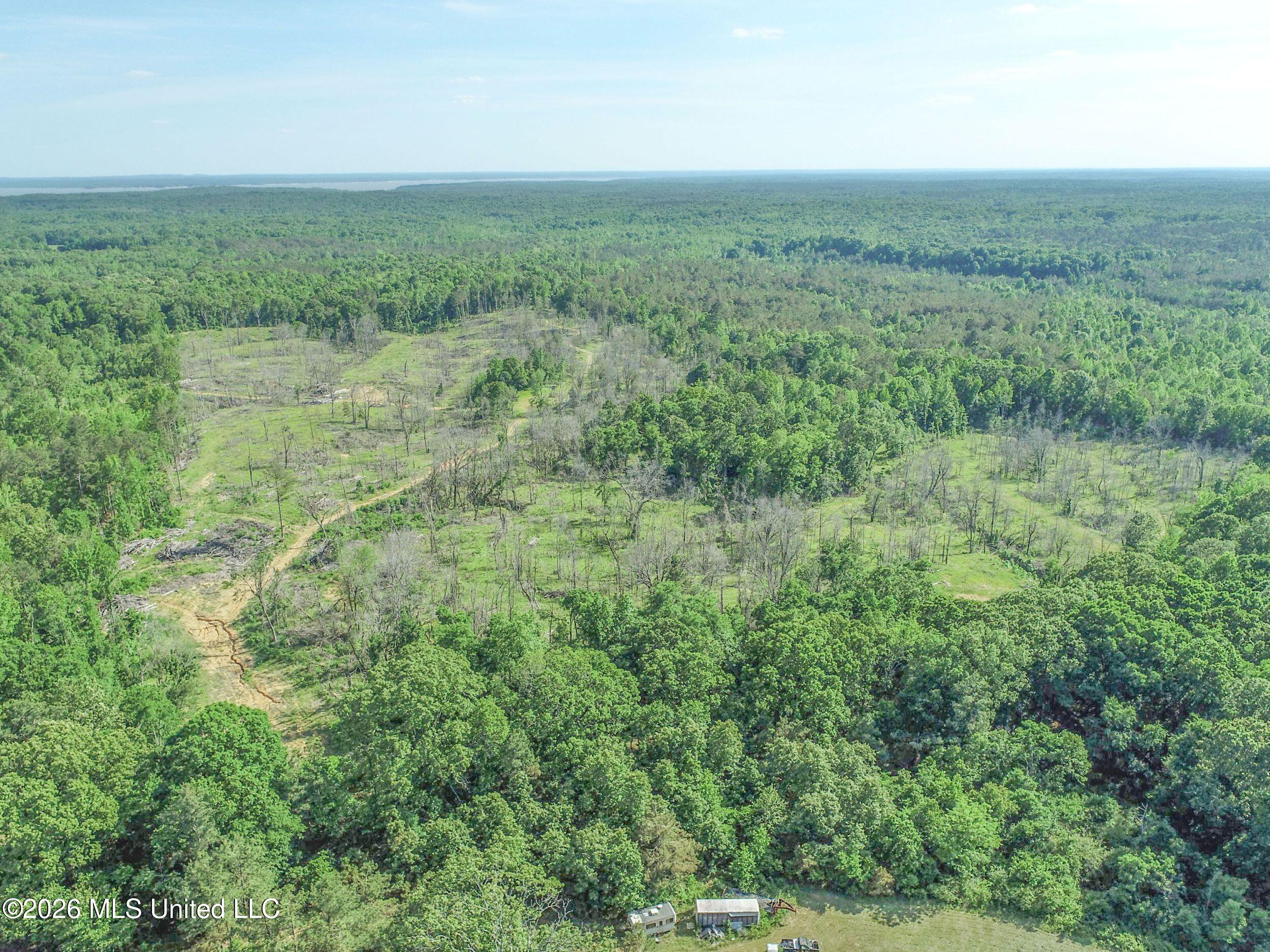 Wayne Massie Road Property Photo 20