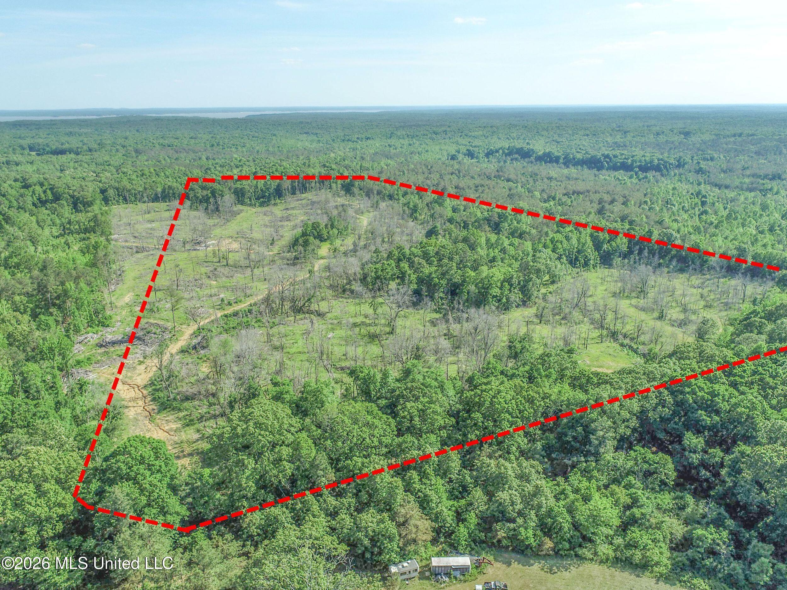 Wayne Massie Road Property Photo 21