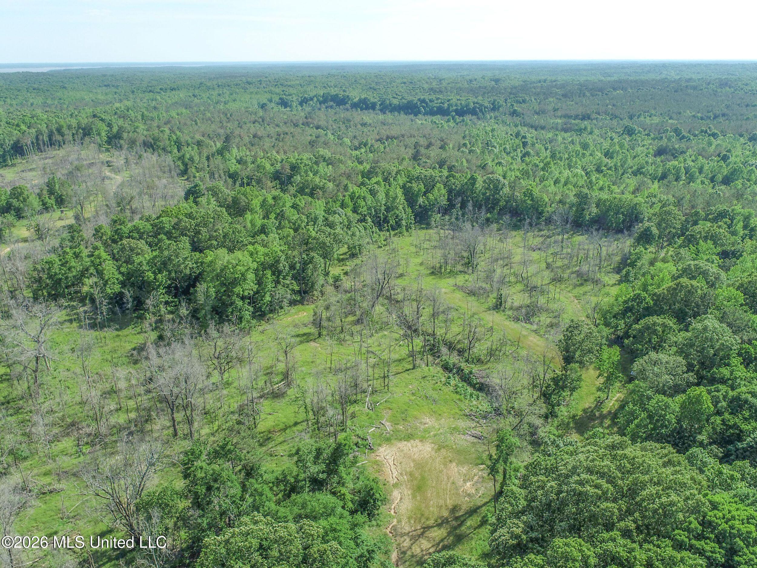 Wayne Massie Road Property Photo 22