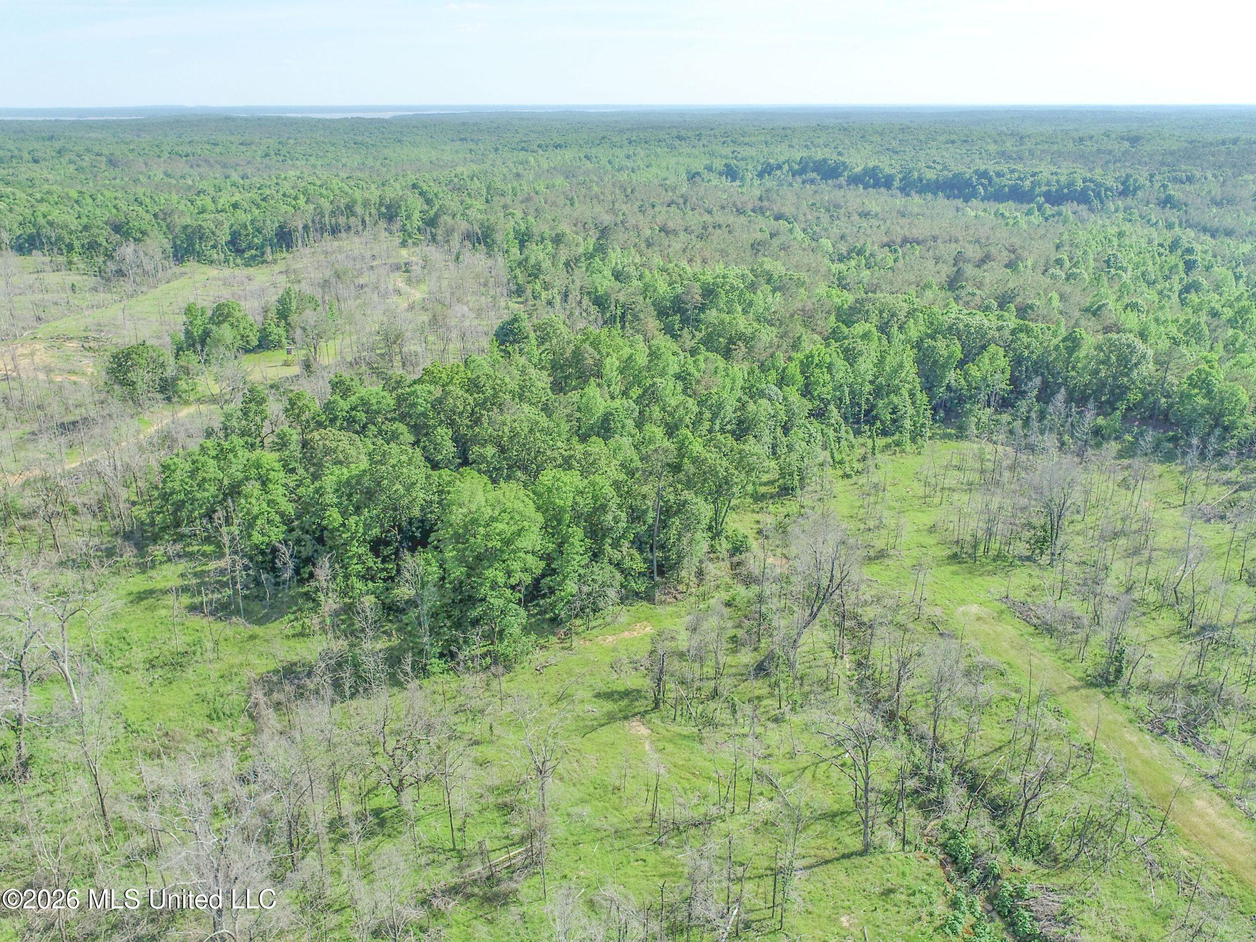 Wayne Massie Road Property Photo 23