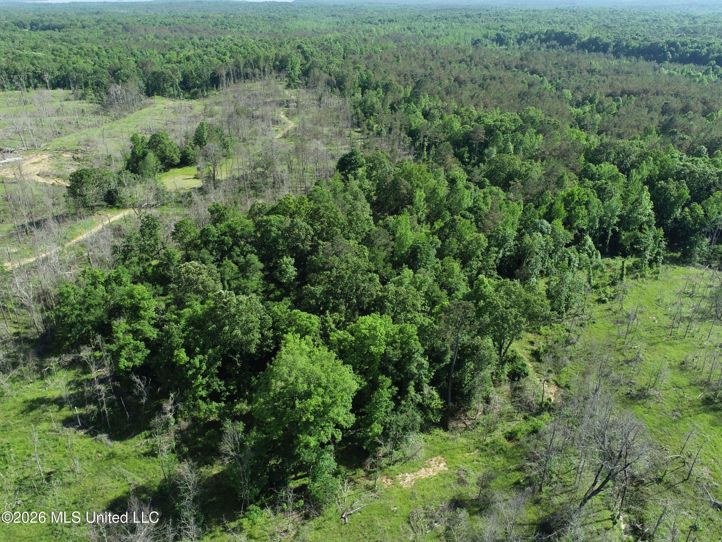 Wayne Massie Road Property Photo 24