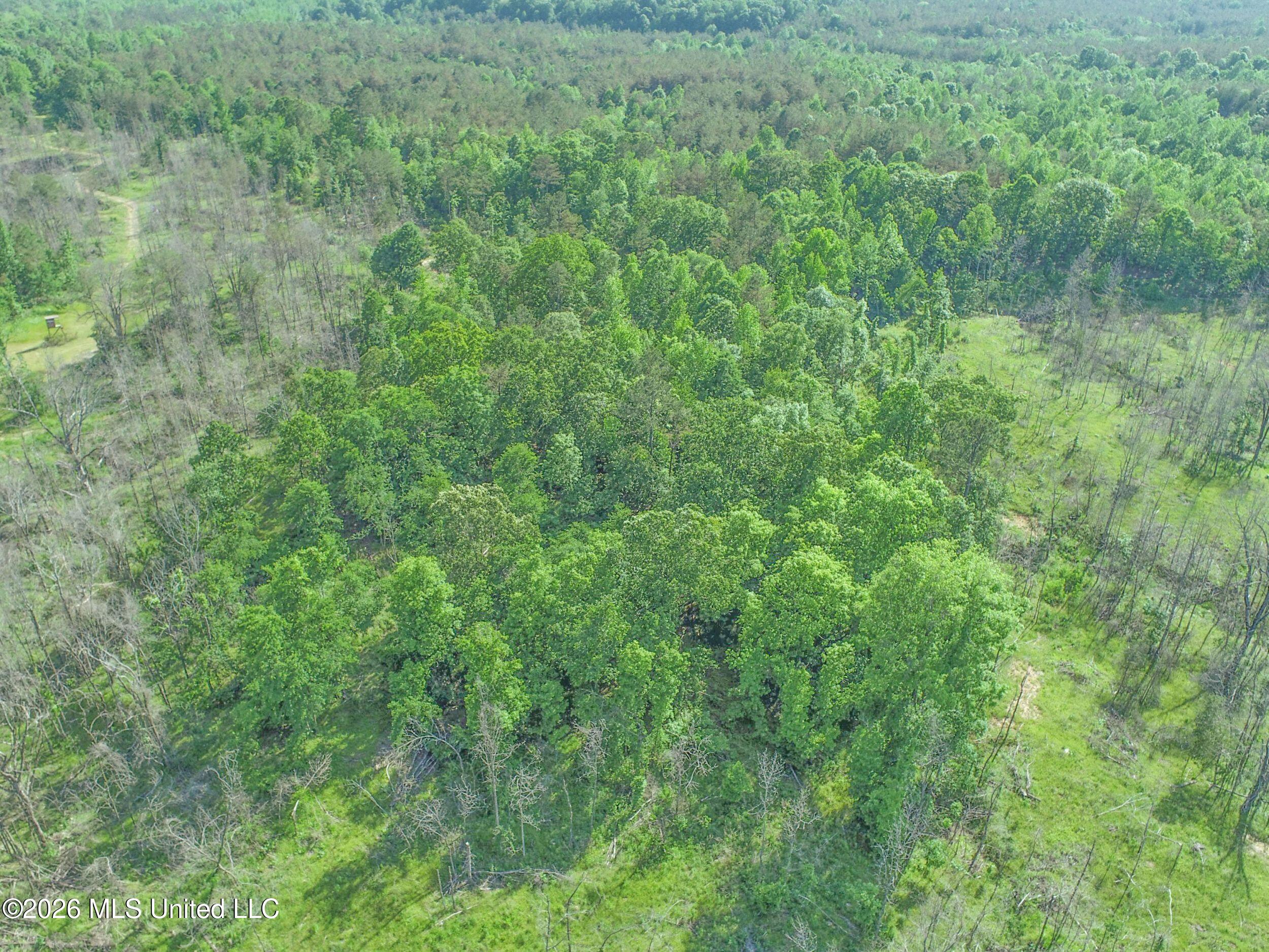 Wayne Massie Road Property Photo 25