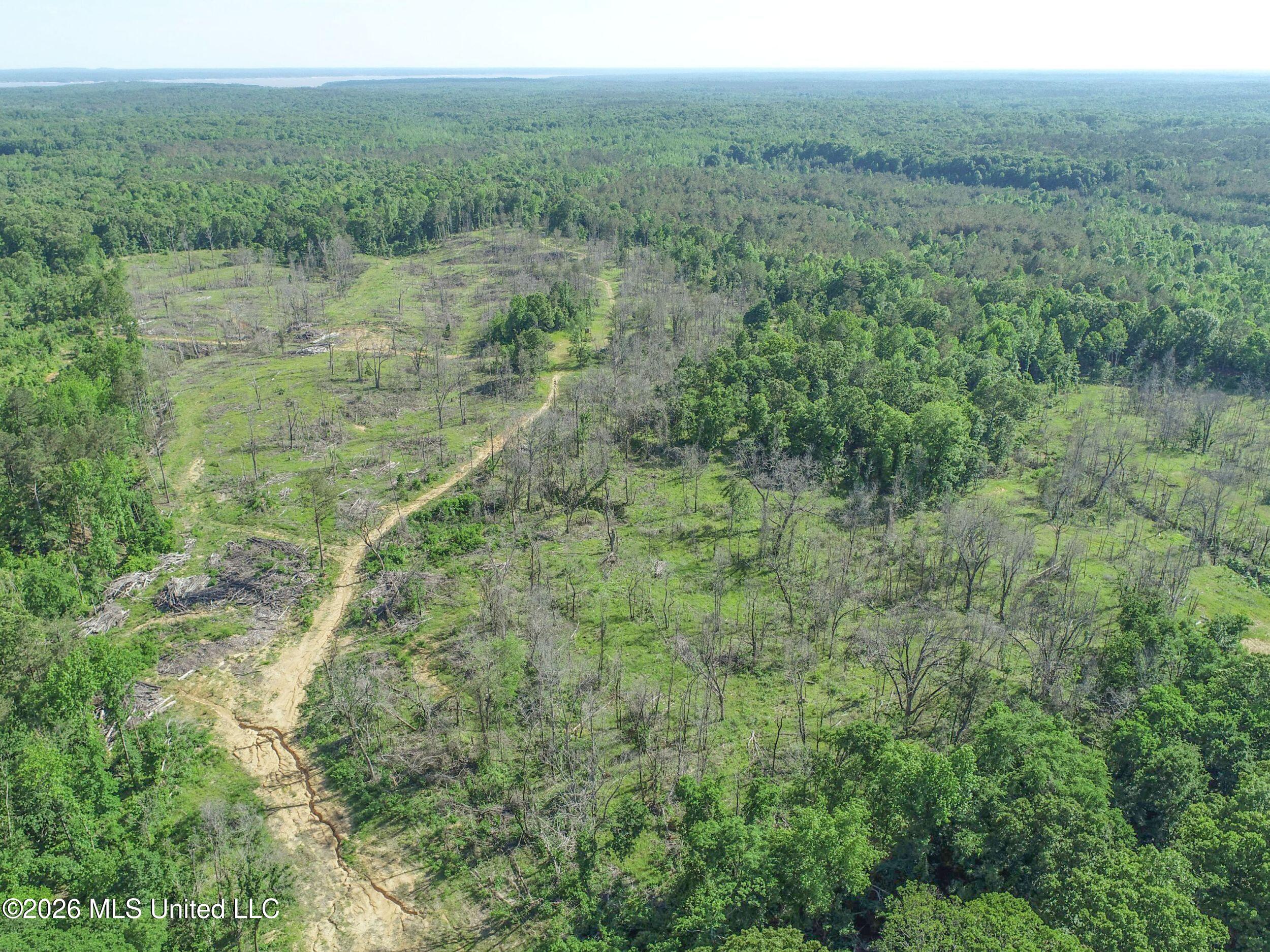 Wayne Massie Road Property Photo 26