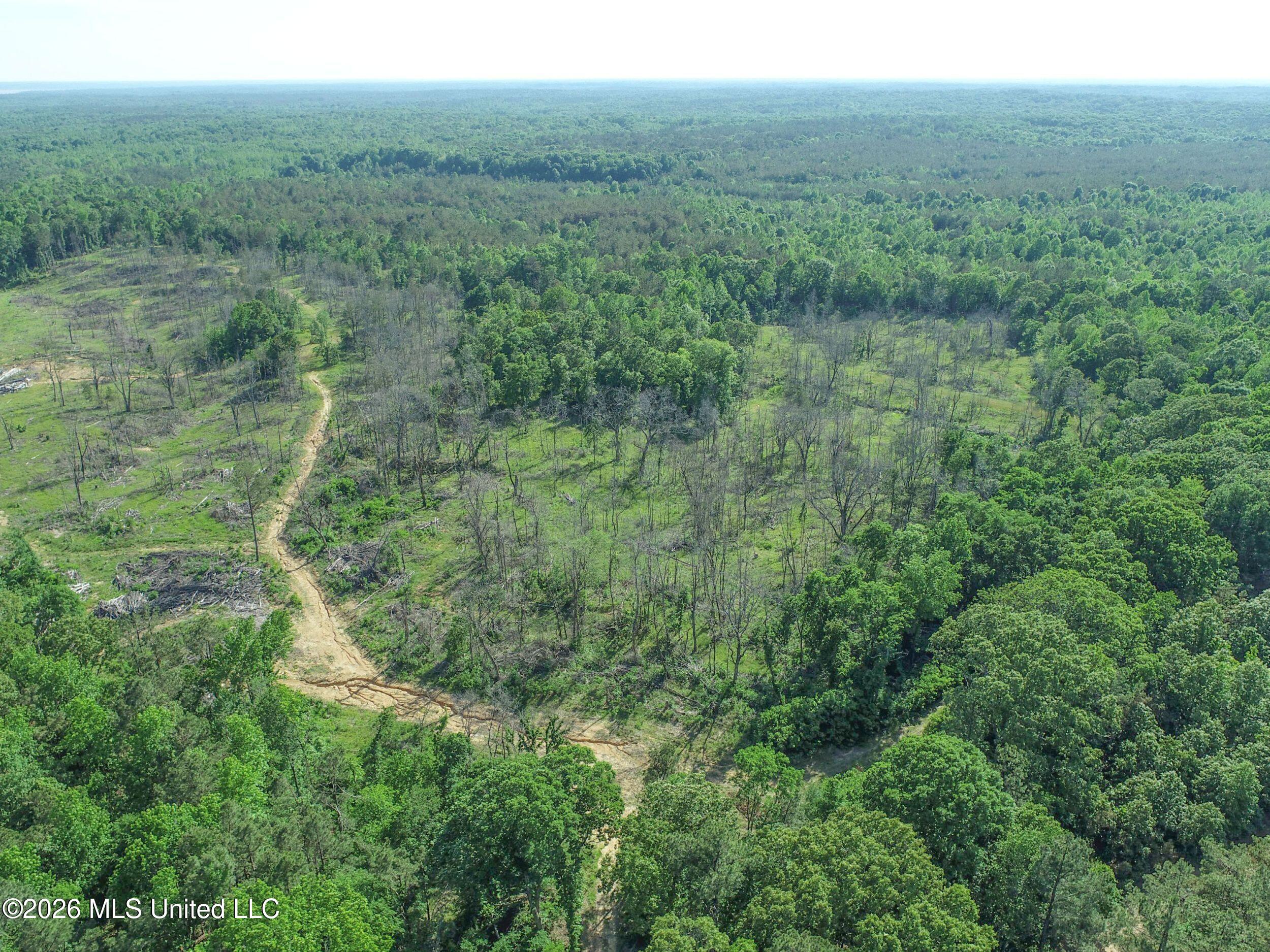 Wayne Massie Road Property Photo 27