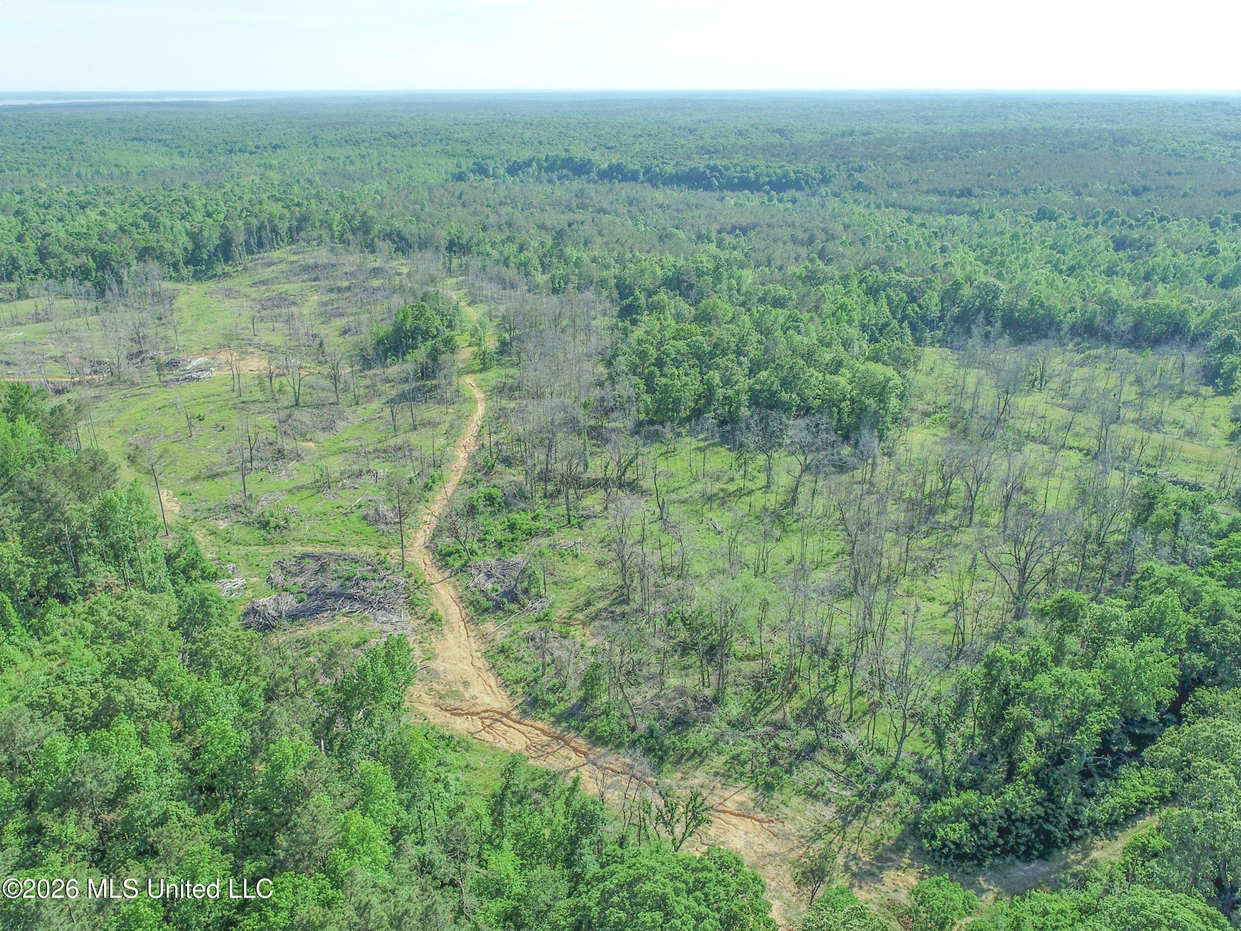 Wayne Massie Road Property Photo 28