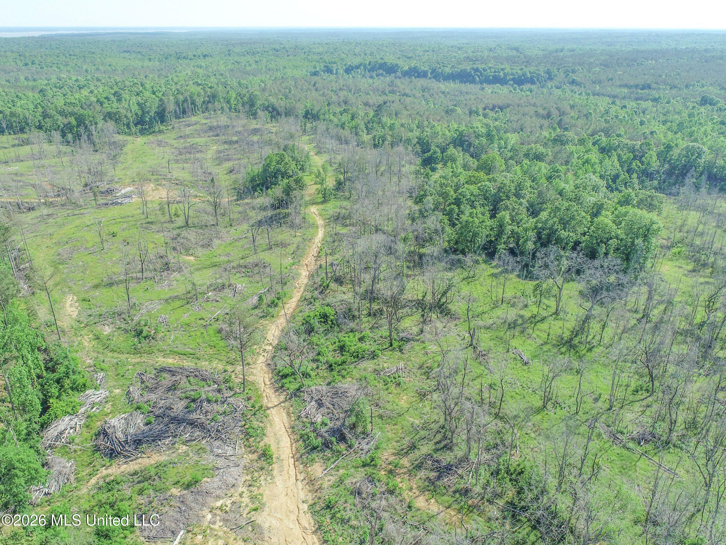 Wayne Massie Road Property Photo 29