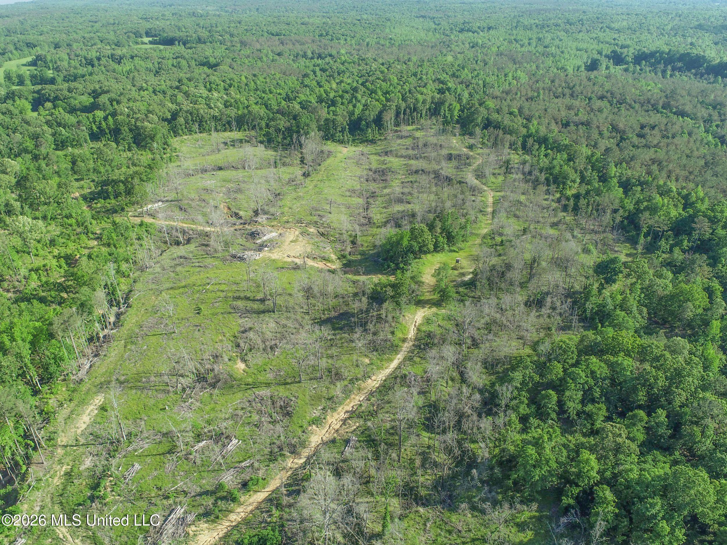 Wayne Massie Road Property Photo 30