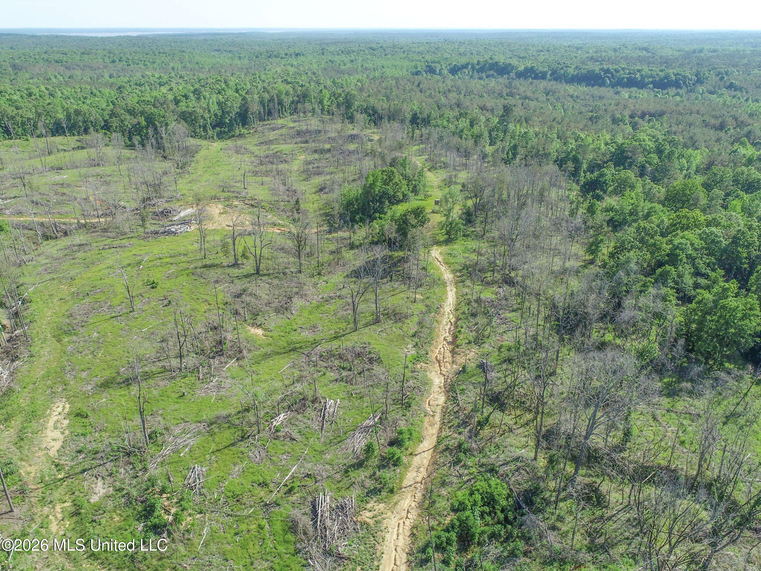 Wayne Massie Road Property Photo 31