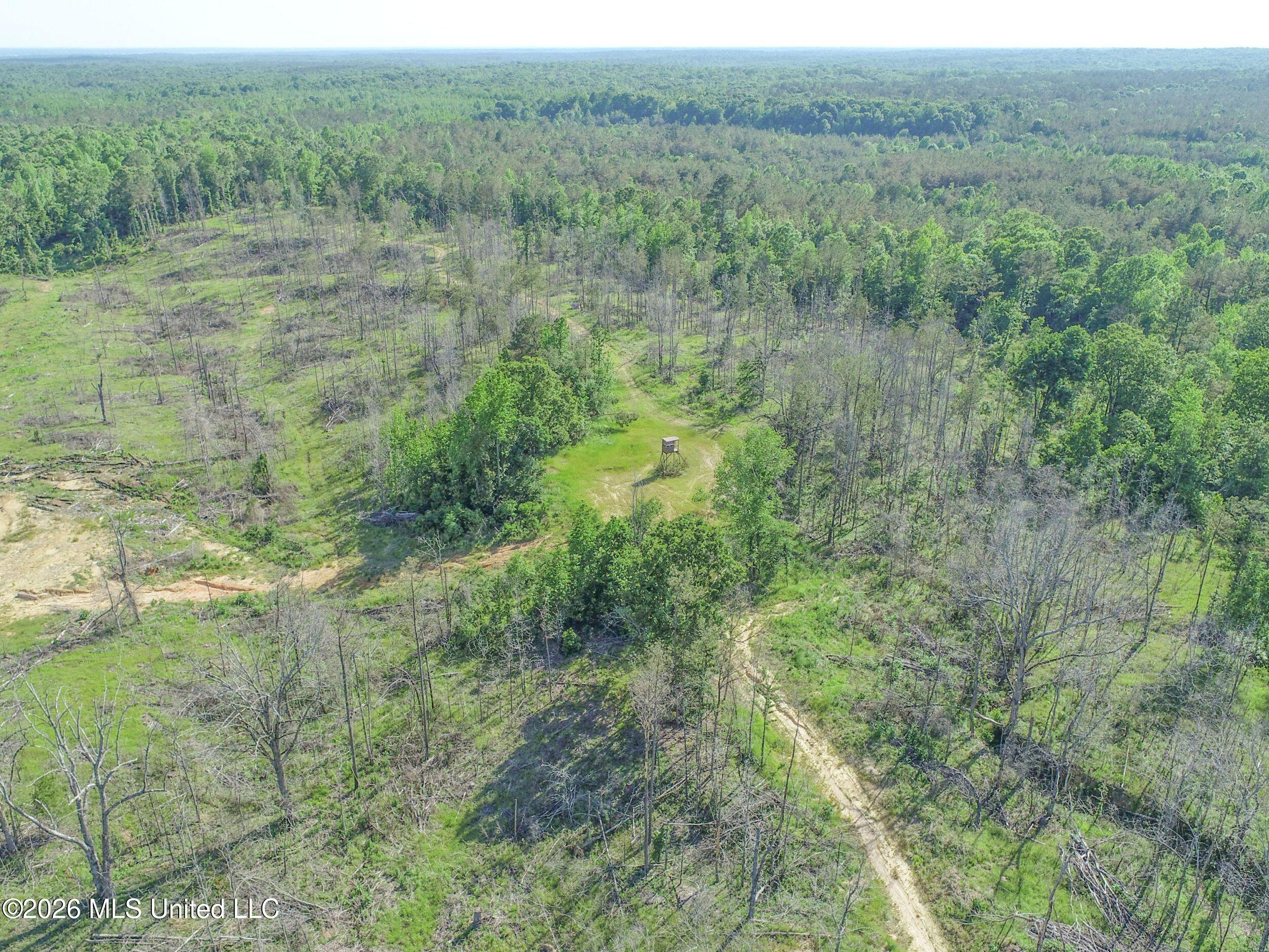 Wayne Massie Road Property Photo 32