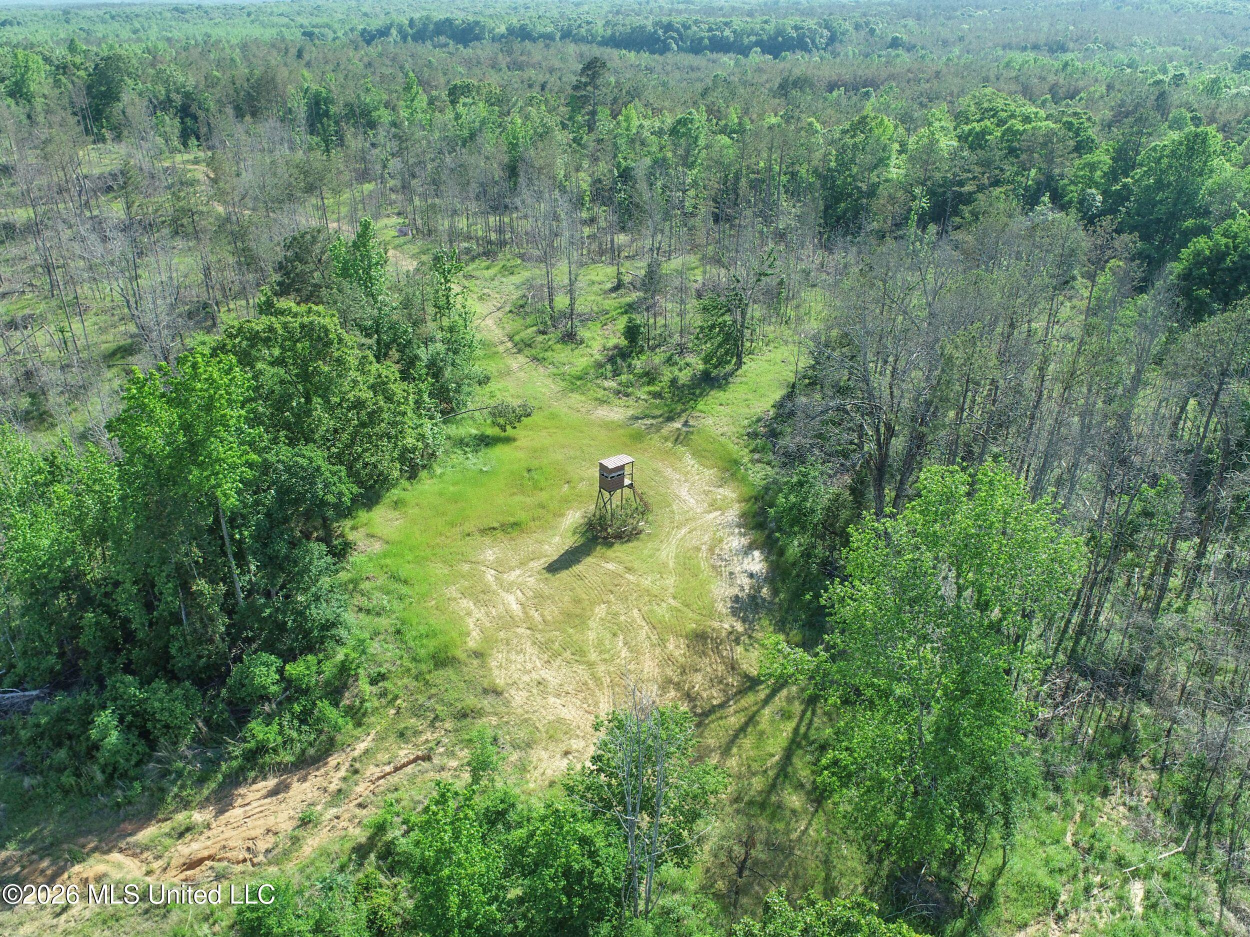 Wayne Massie Road Property Photo 33