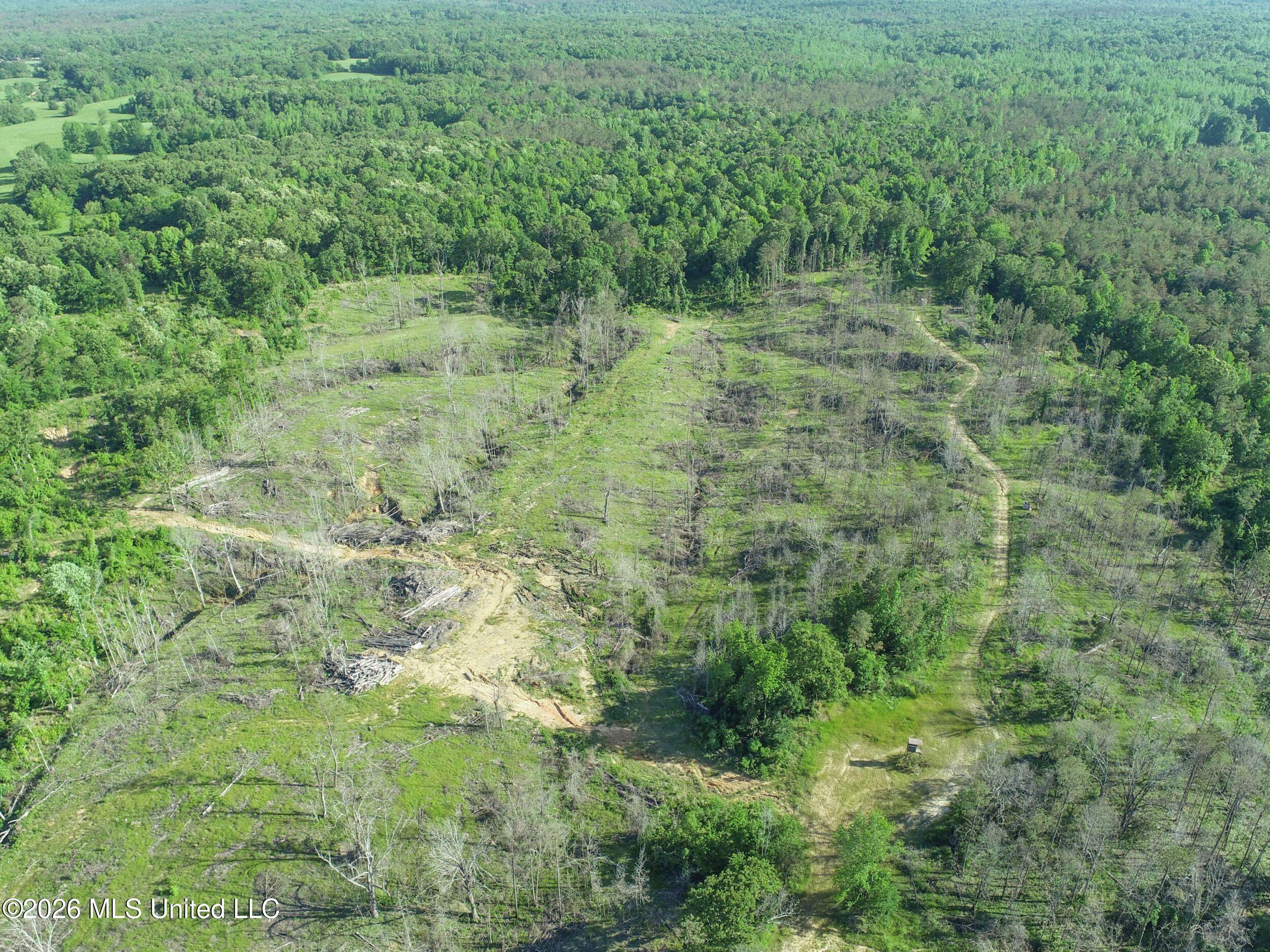 Wayne Massie Road Property Photo 34