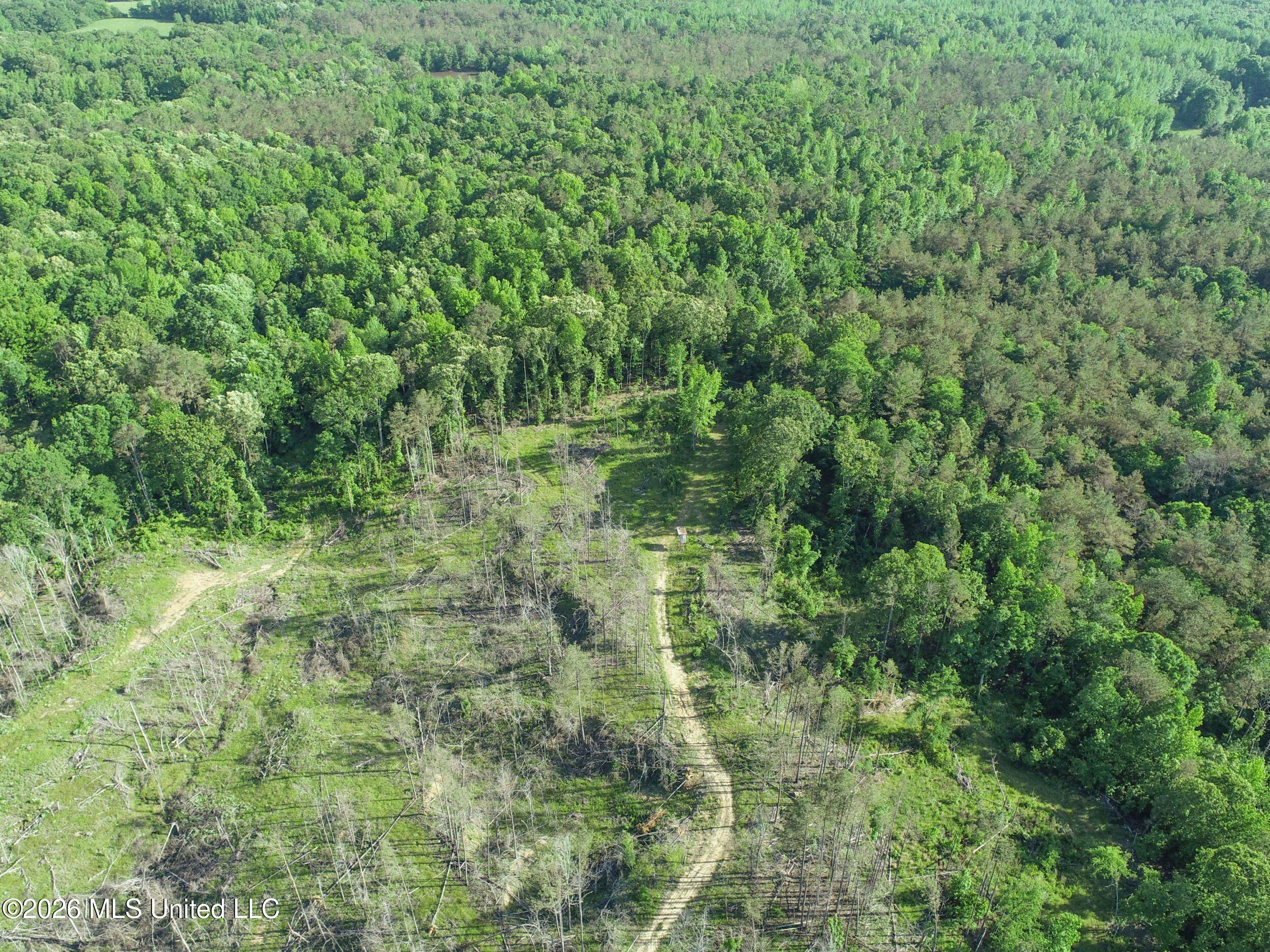 Wayne Massie Road Property Photo 35