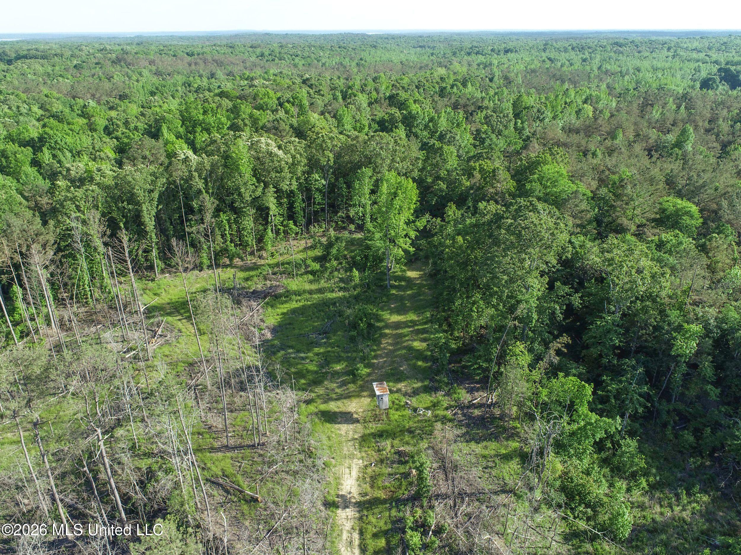 Wayne Massie Road Property Photo 36
