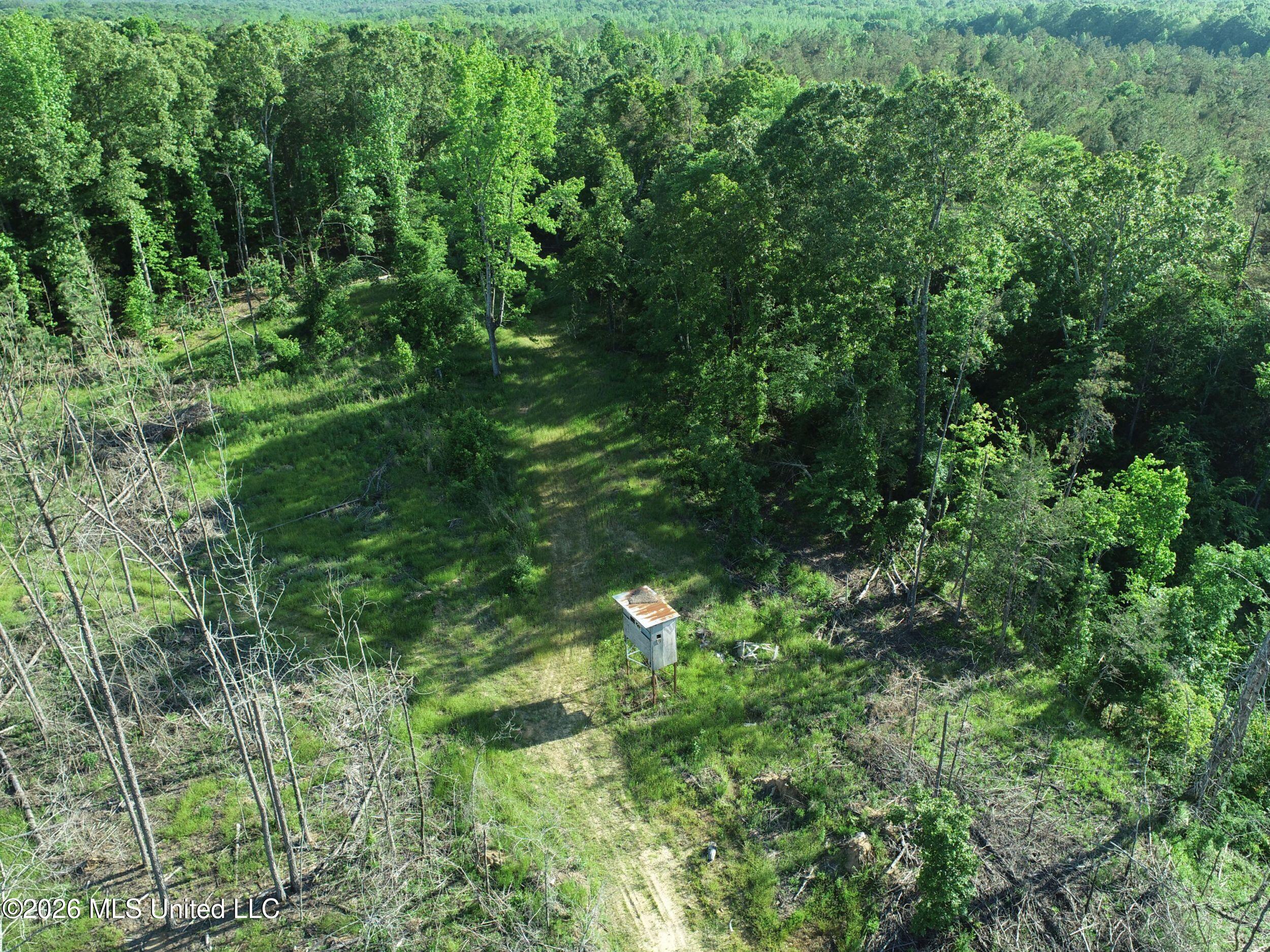 Wayne Massie Road Property Photo 37