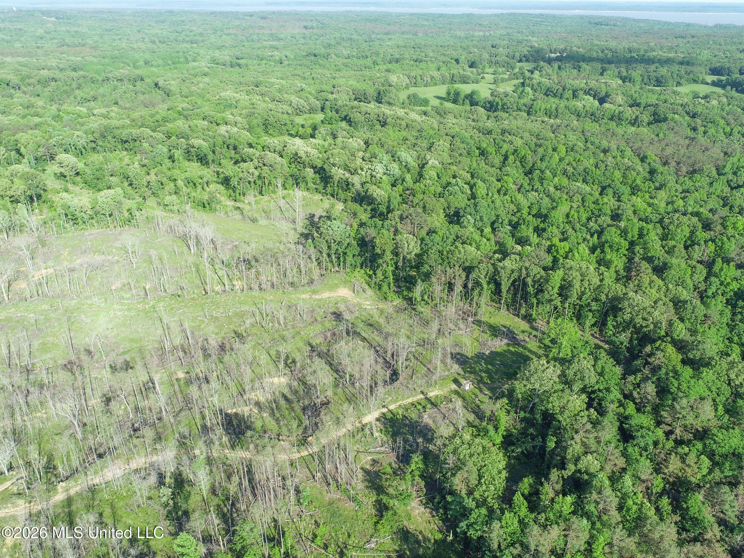 Wayne Massie Road Property Photo 38