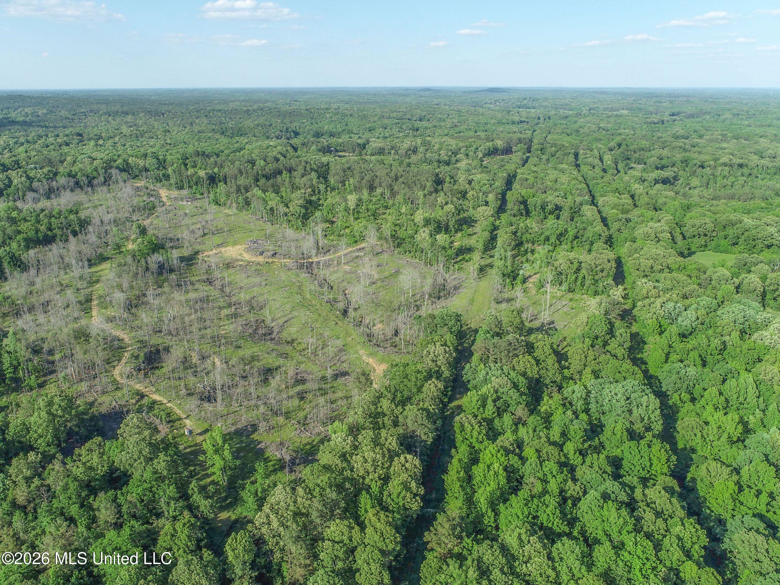 Wayne Massie Road Property Photo 39