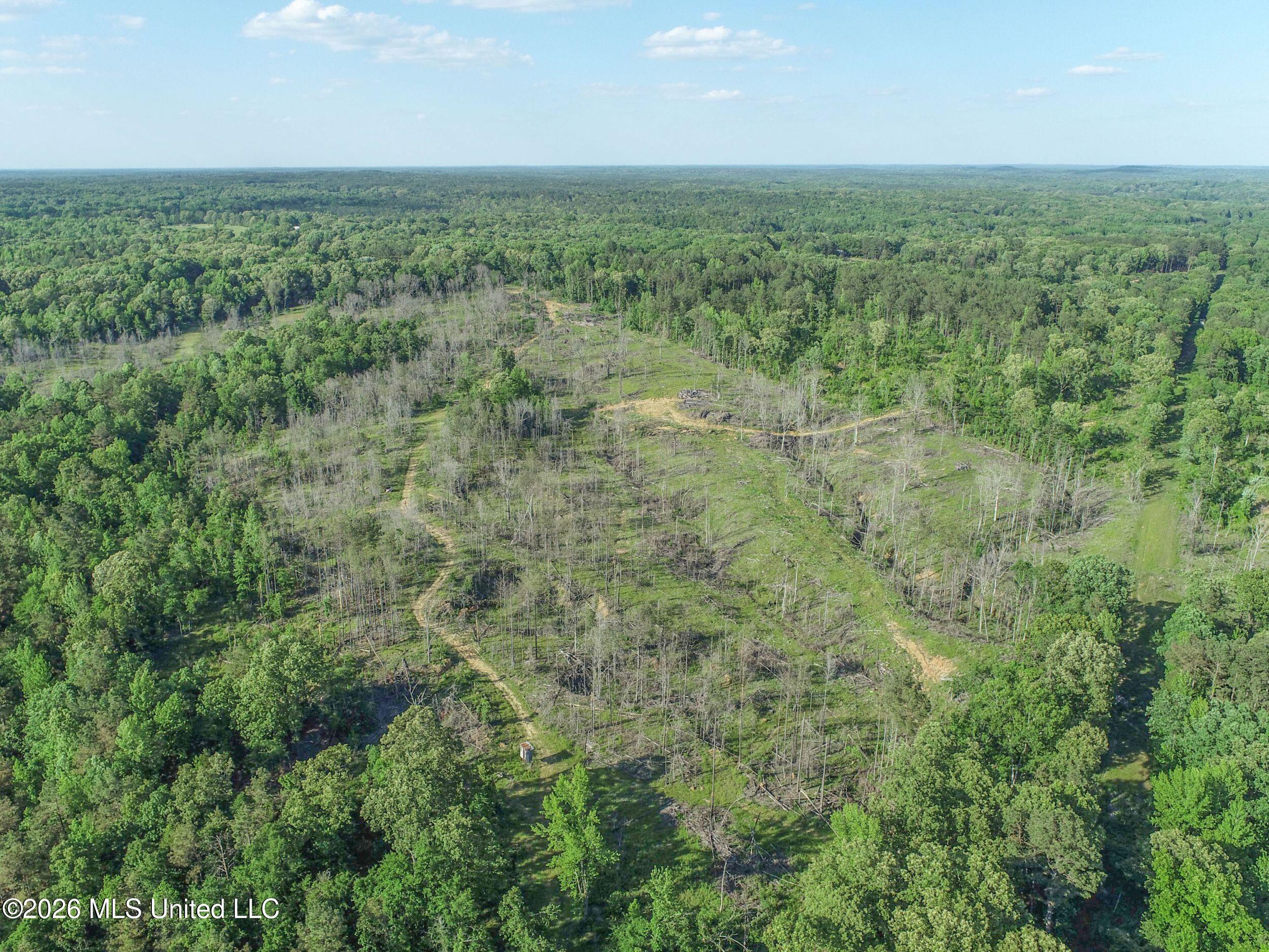 Wayne Massie Road Property Photo 40