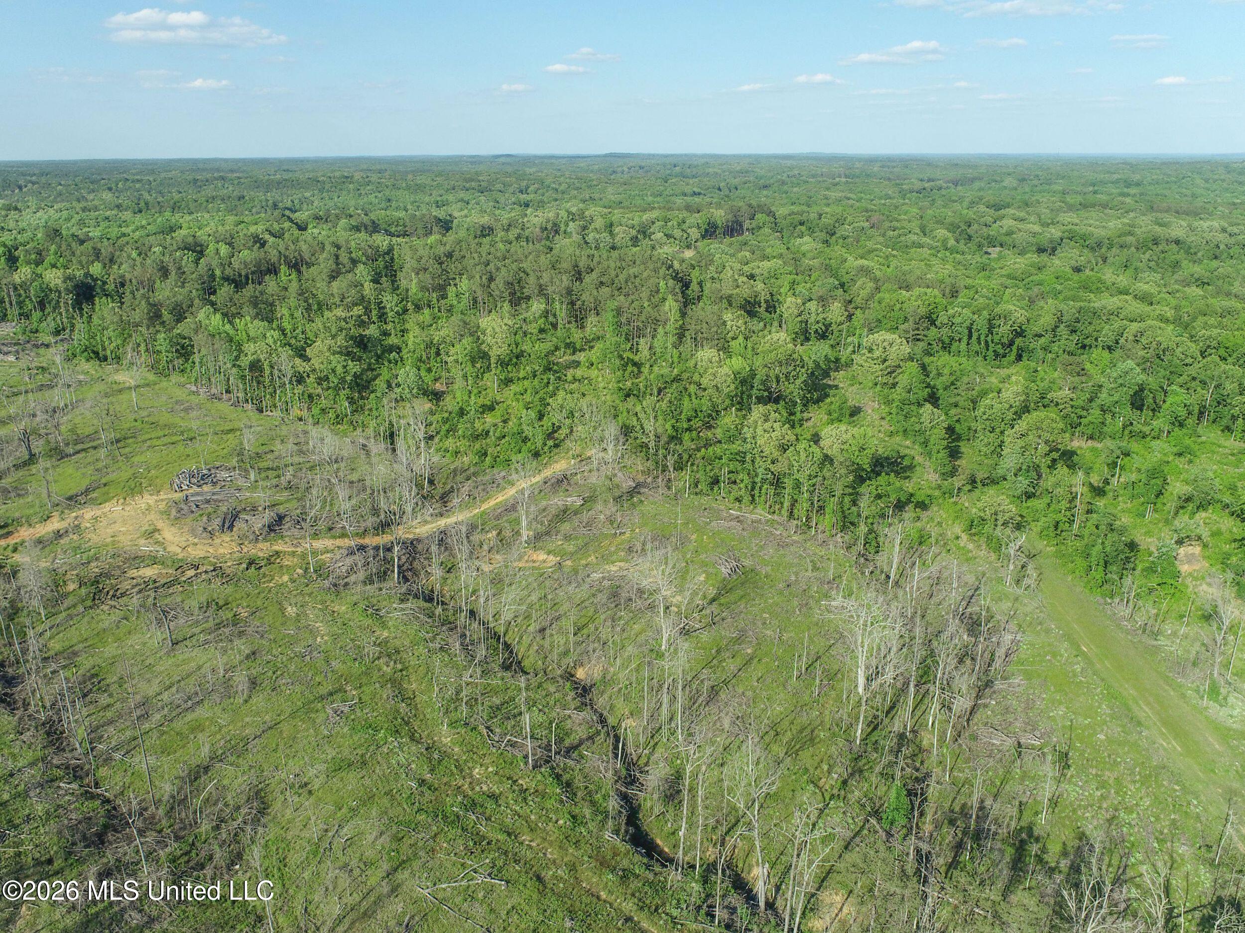 Wayne Massie Road Property Photo 41