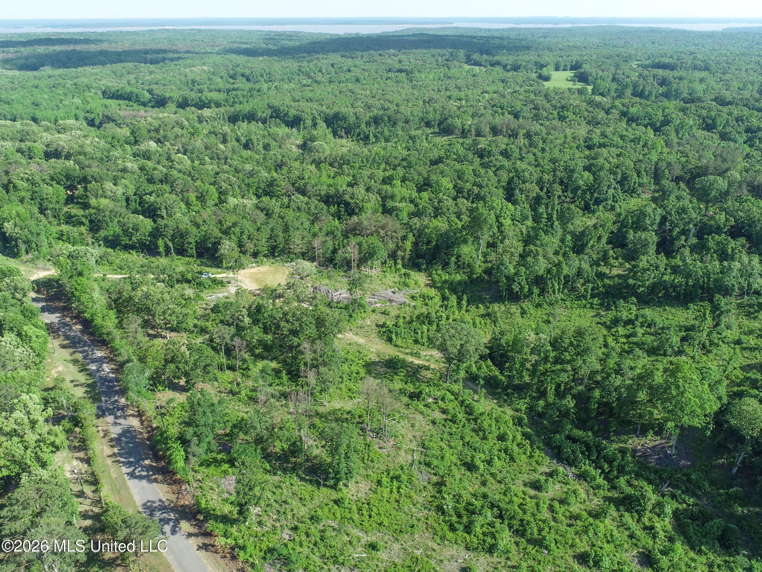 Wayne Massie Road Property Photo 42
