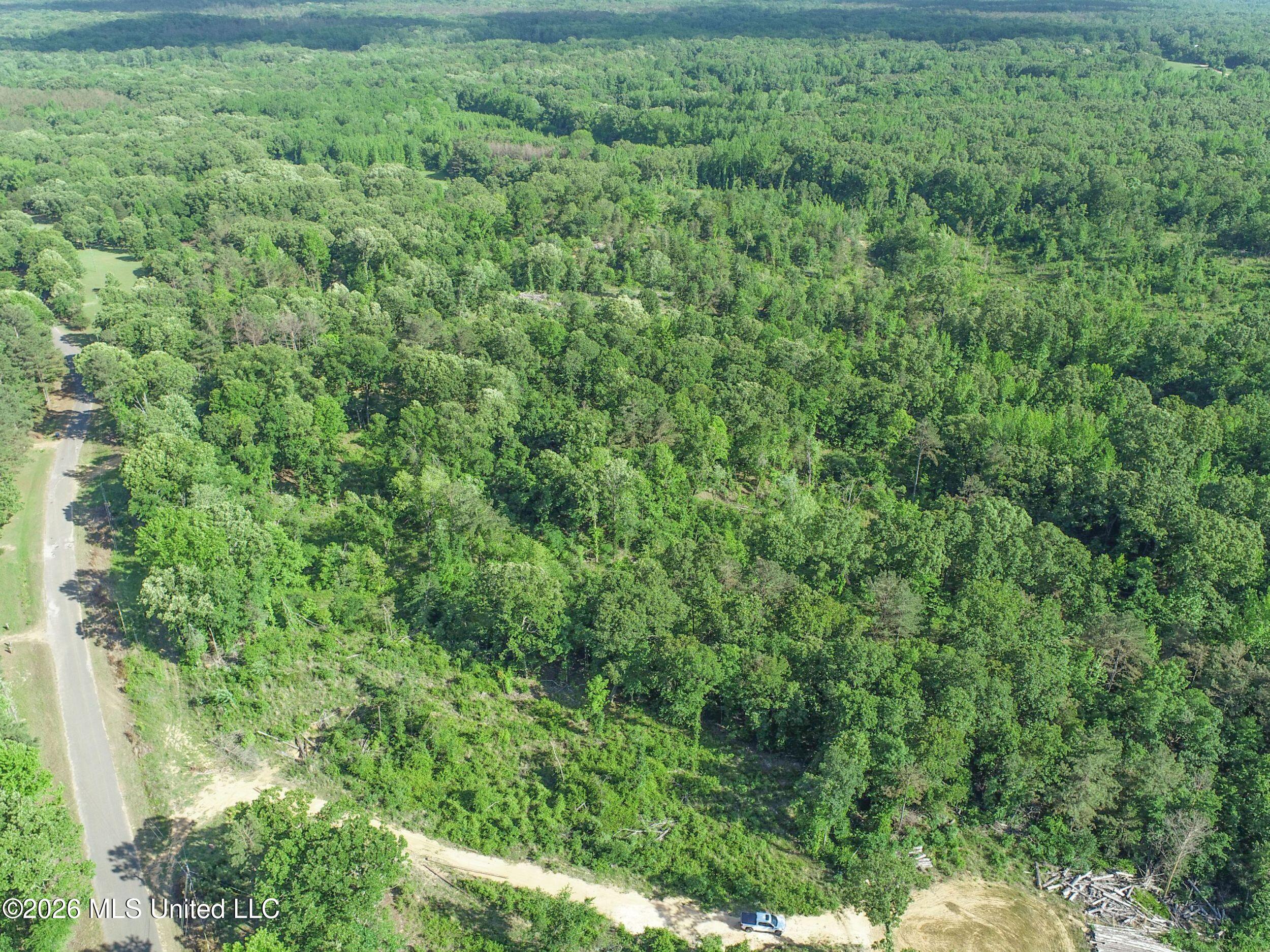 Wayne Massie Road Property Photo 43