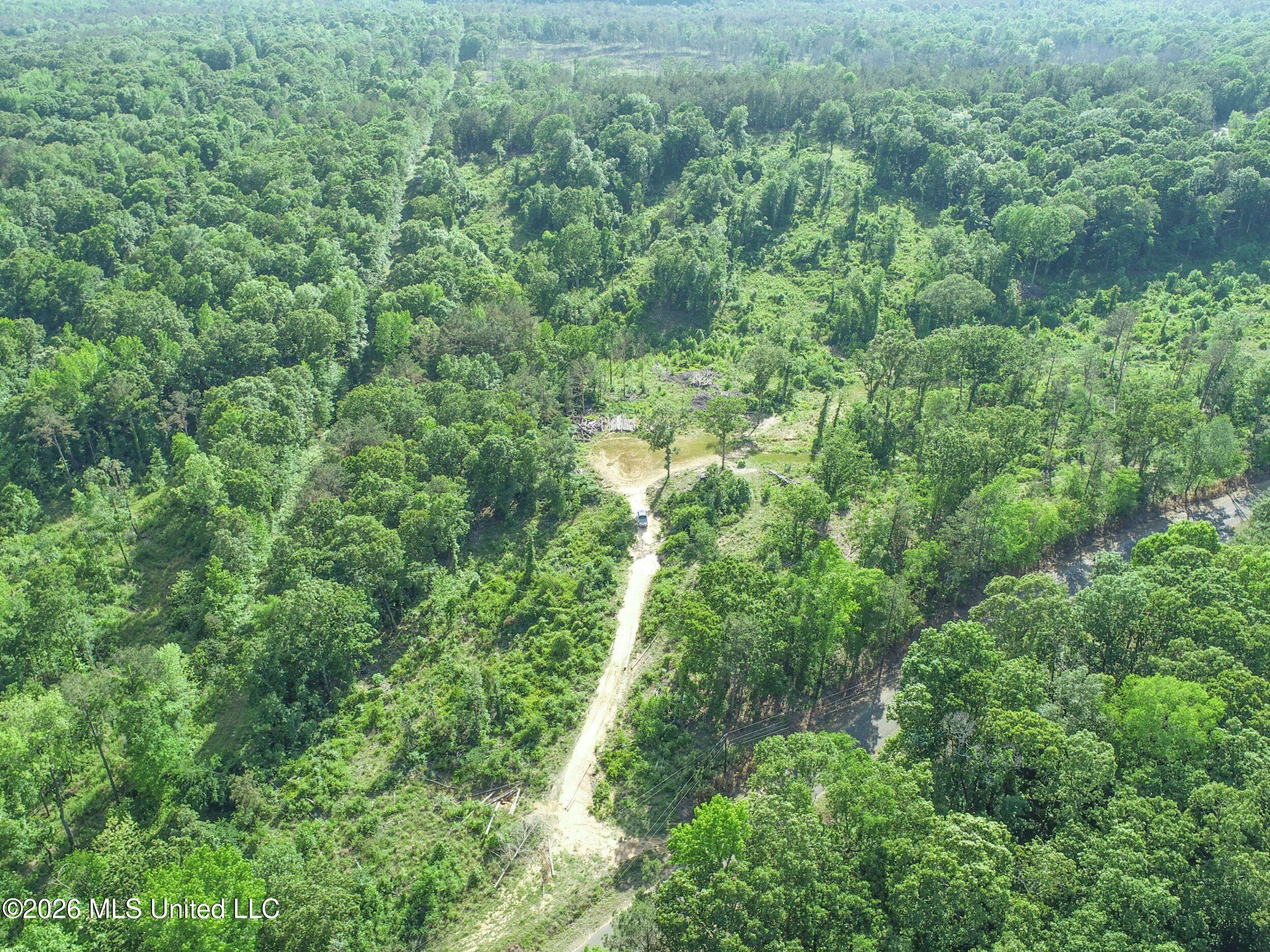 Wayne Massie Road Property Photo 44