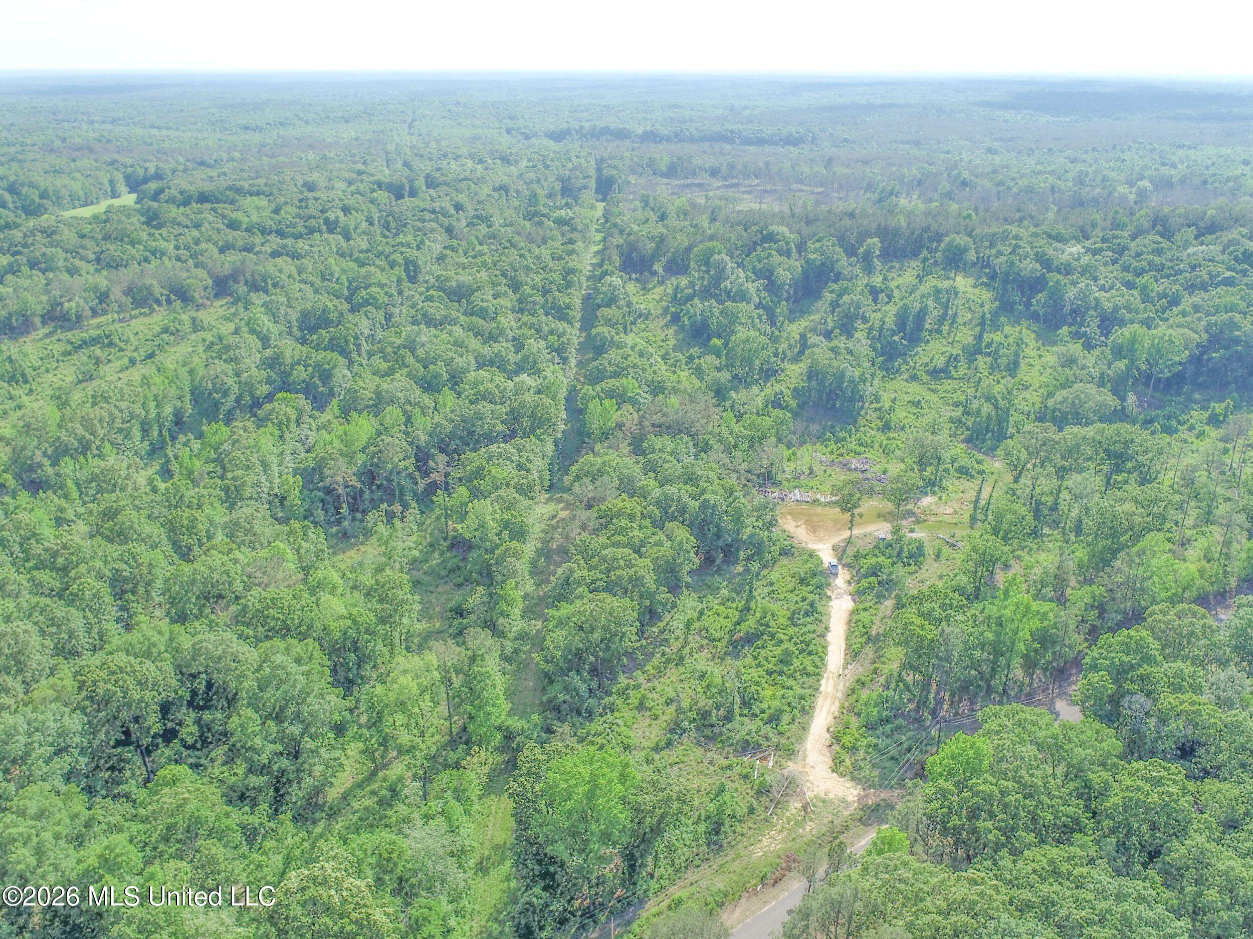 Wayne Massie Road Property Photo 45