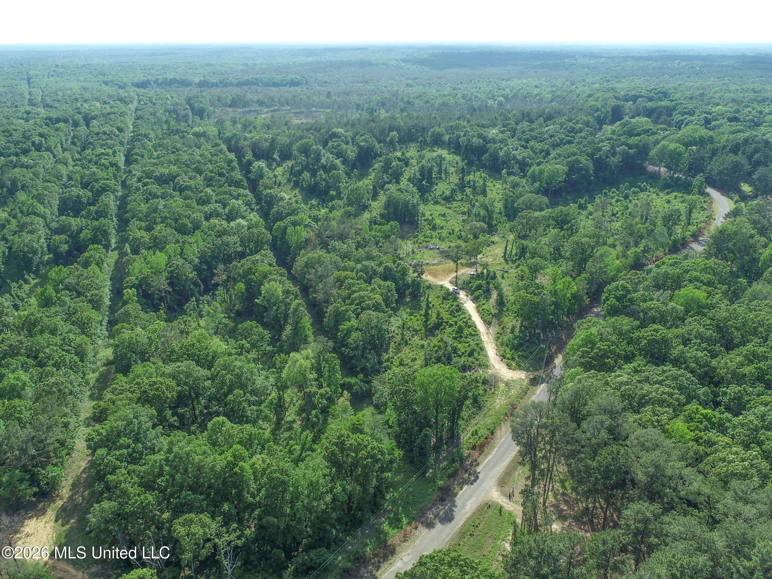 Wayne Massie Road Property Photo 46