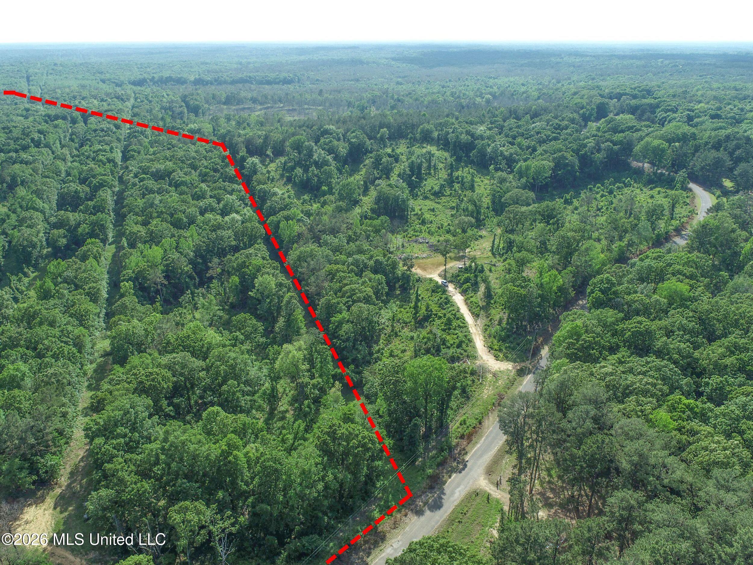 Wayne Massie Road Property Photo 47