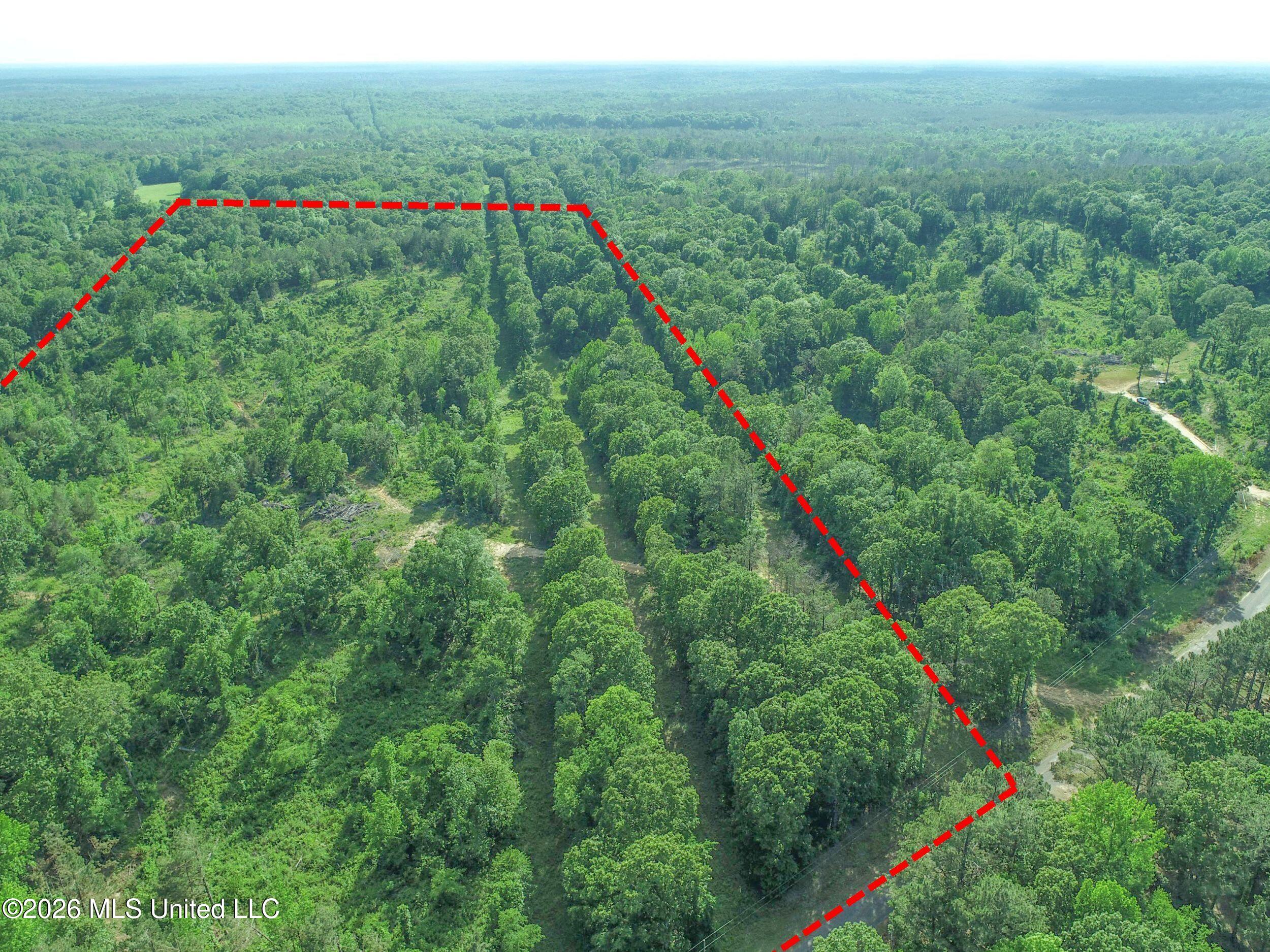 Wayne Massie Road Property Photo 49