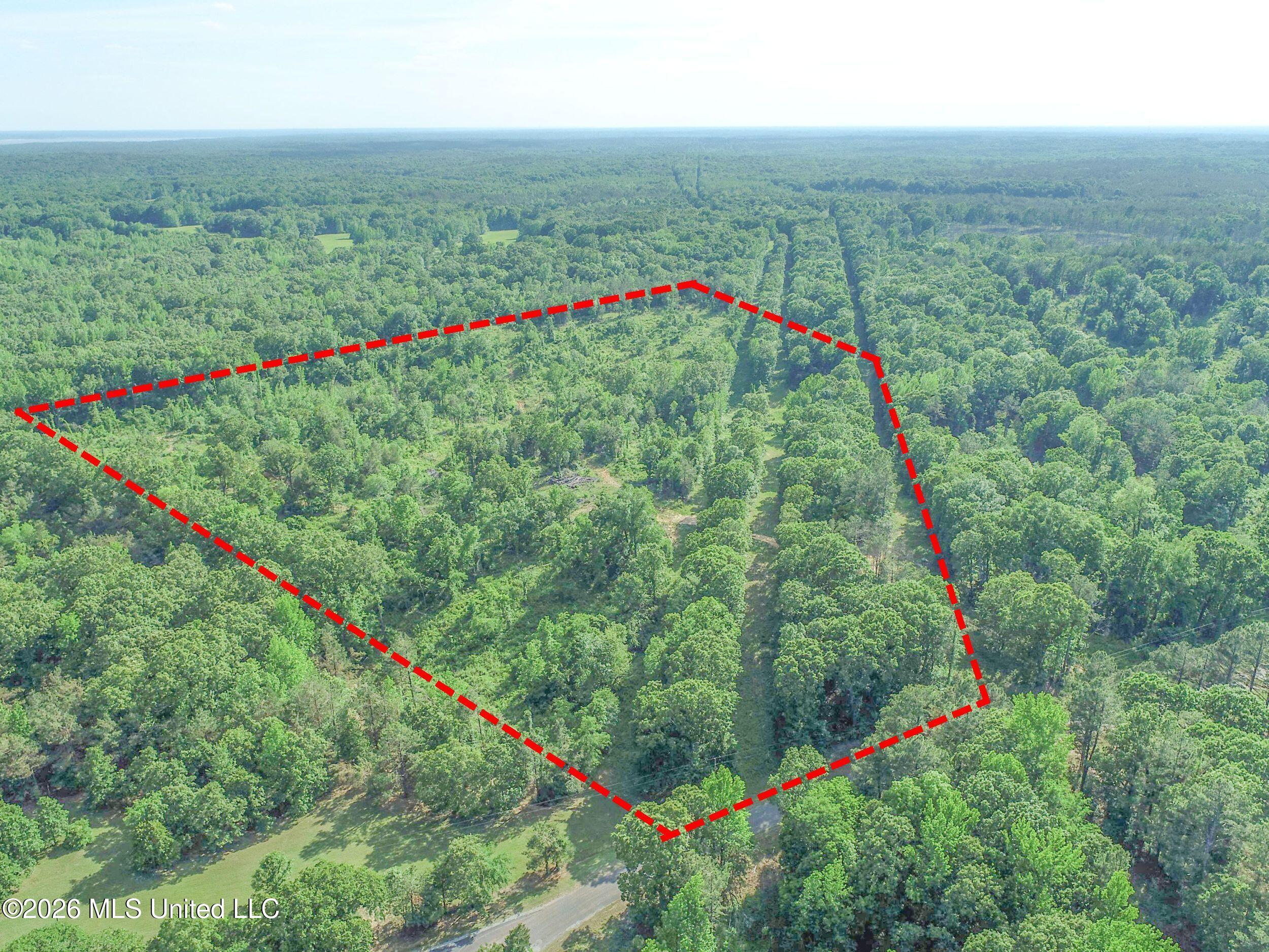 Wayne Massie Road Property Photo 51