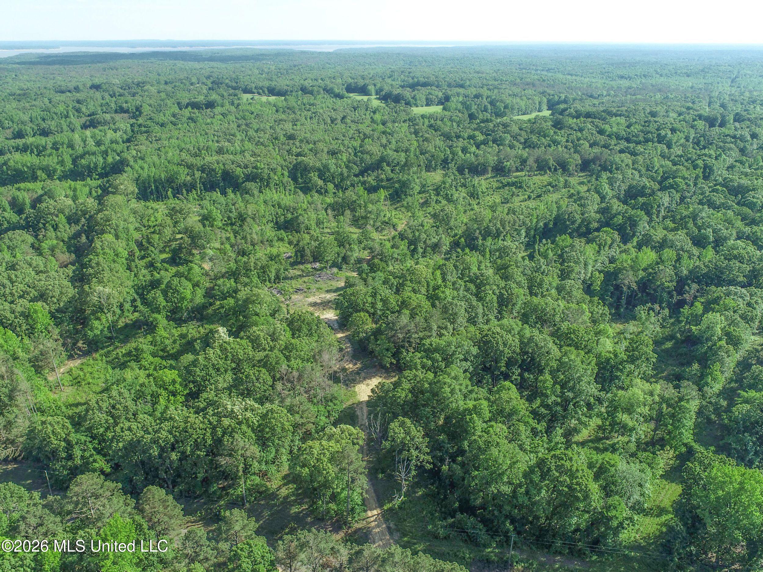 Wayne Massie Road Property Photo 52