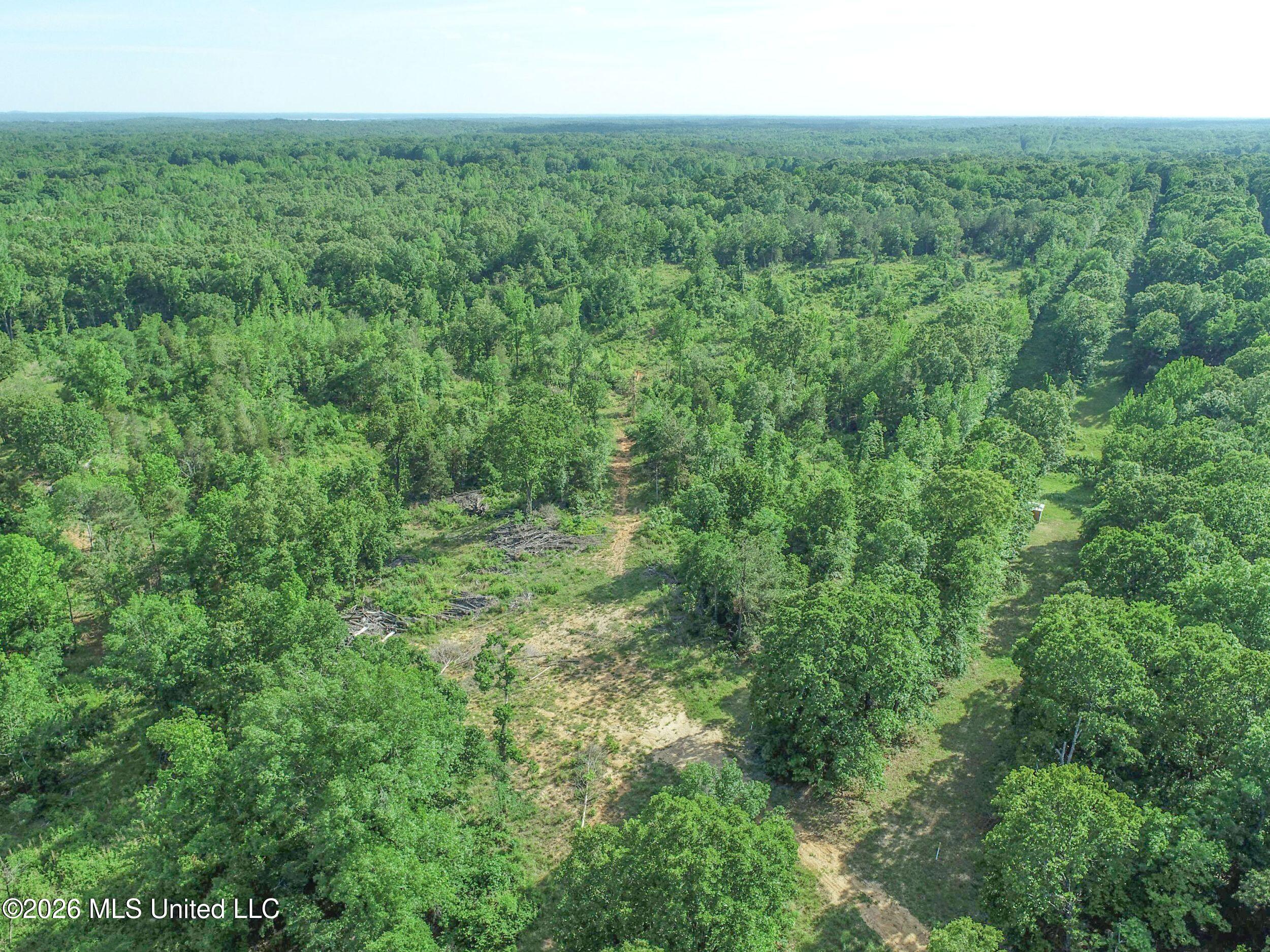 Wayne Massie Road Property Photo 54