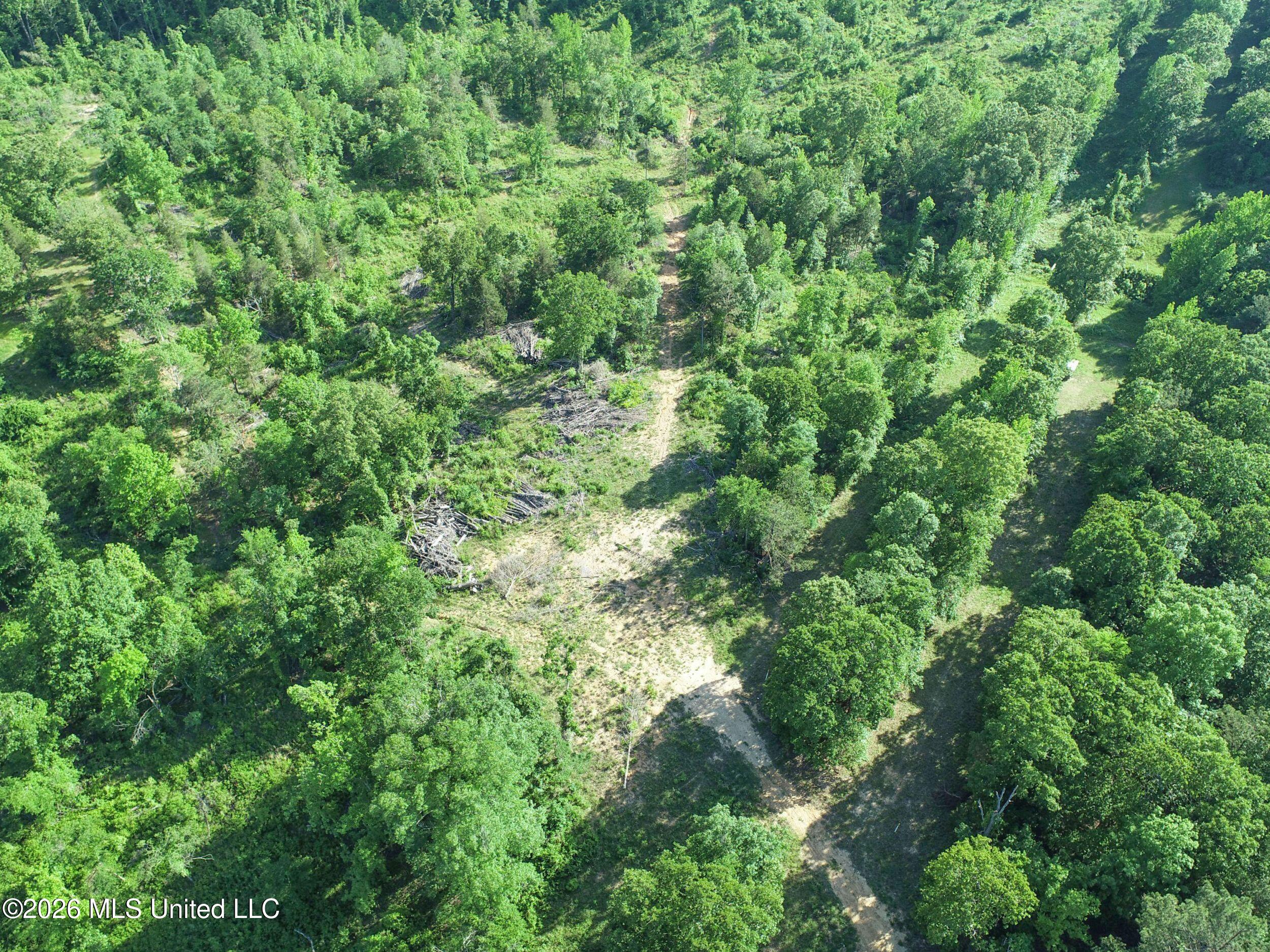 Wayne Massie Road Property Photo 55