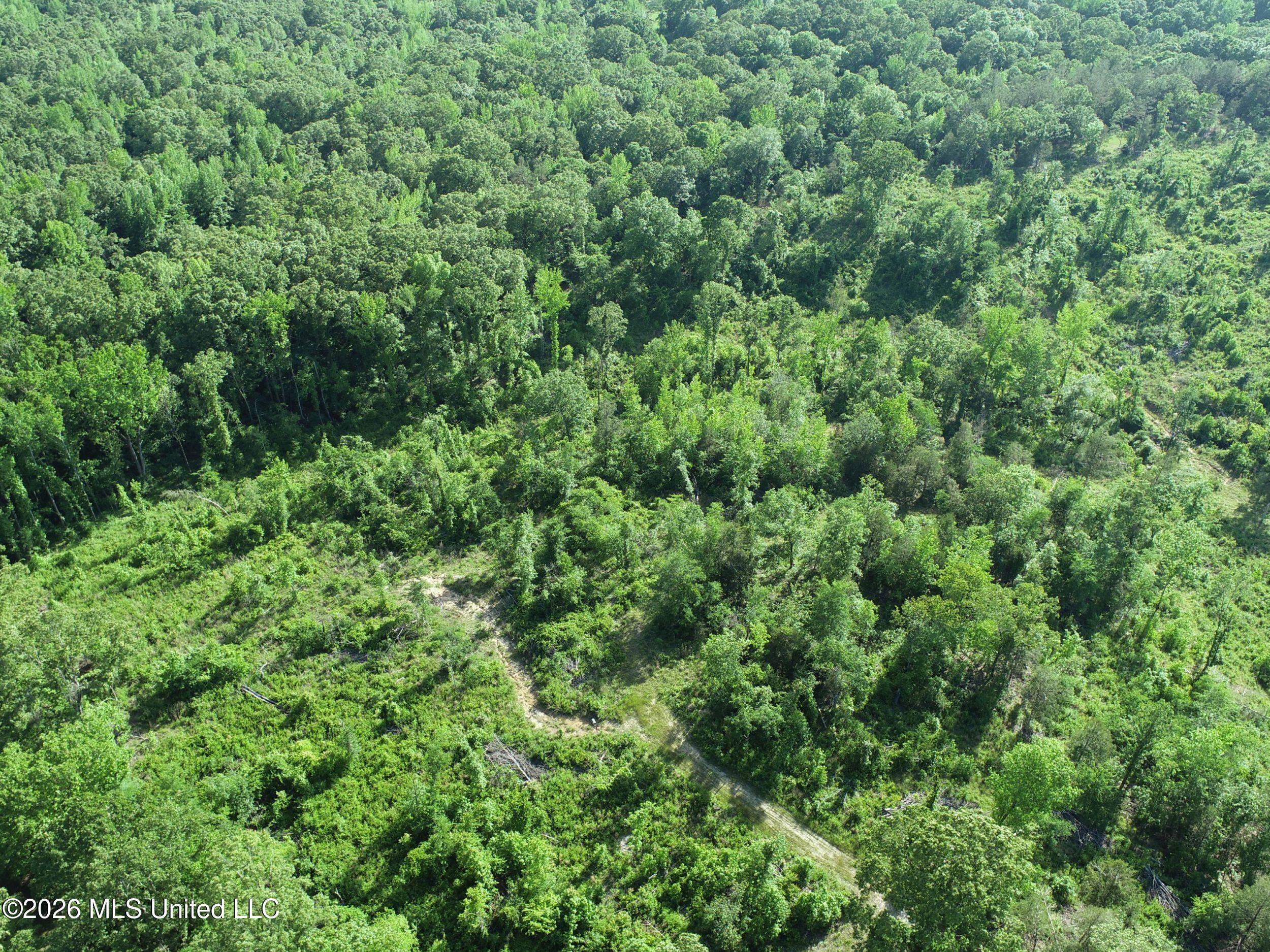 Wayne Massie Road Property Photo 57