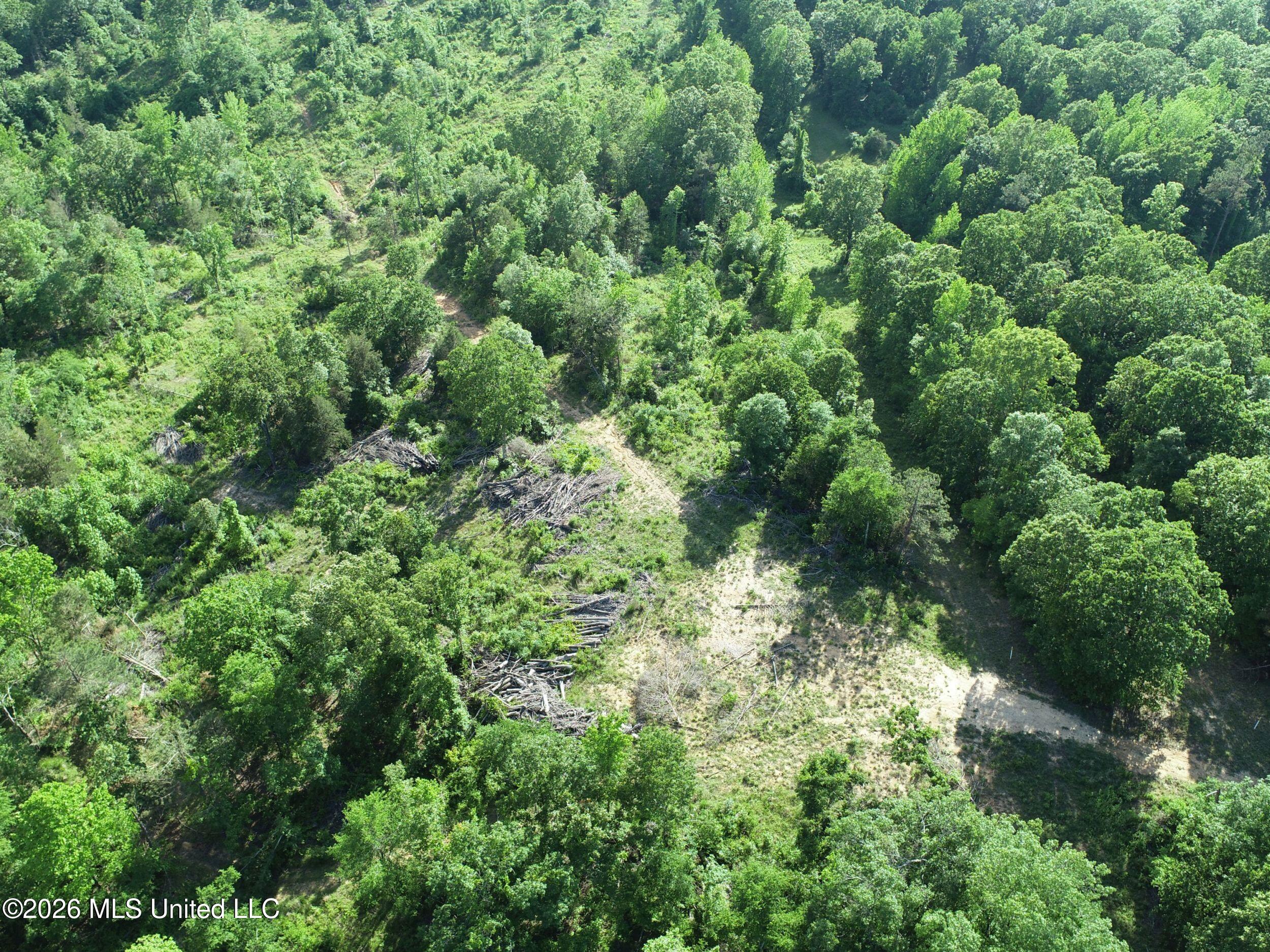 Wayne Massie Road Property Photo 58