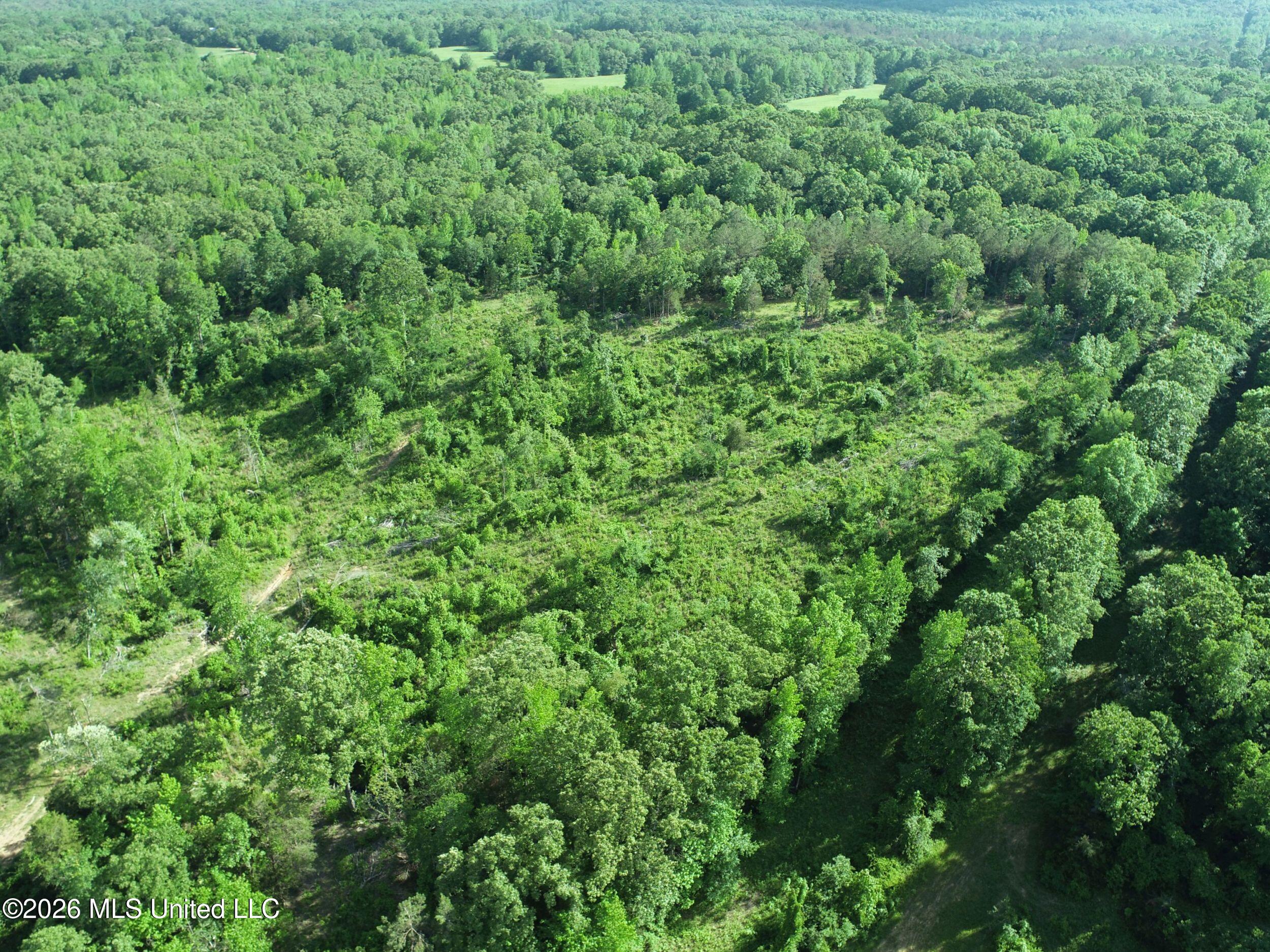 Wayne Massie Road Property Photo 59