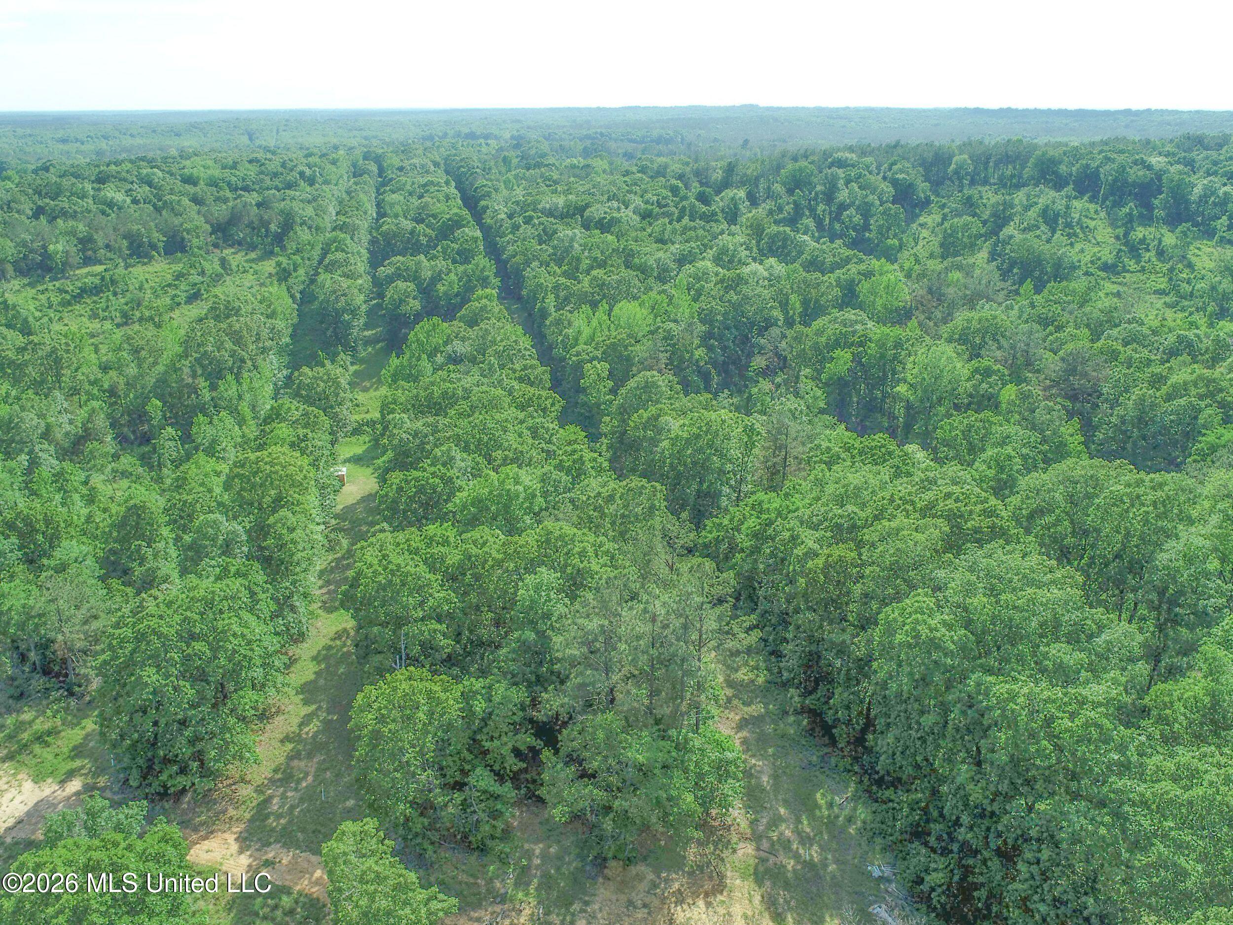 Wayne Massie Road Property Photo 62