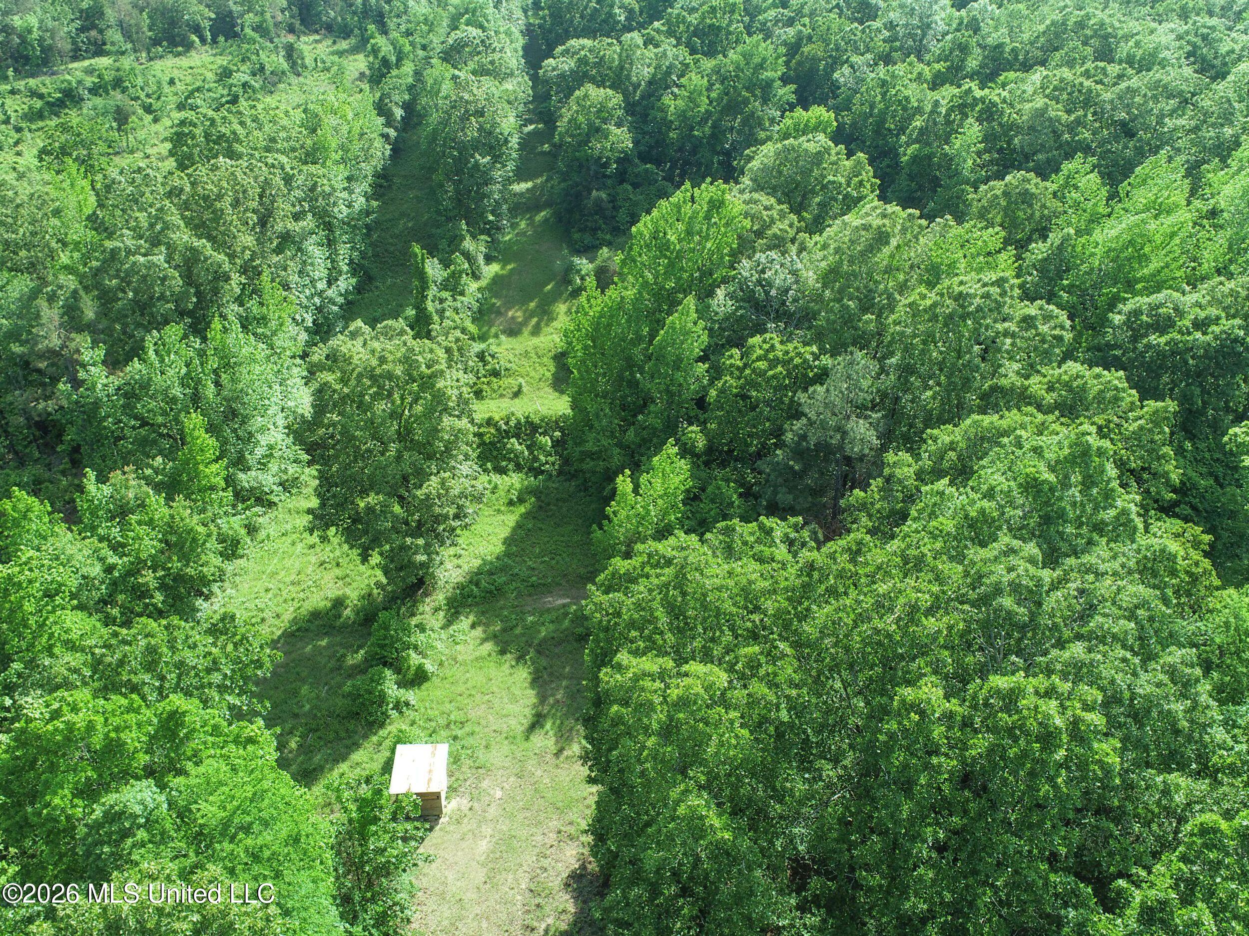 Wayne Massie Road Property Photo 65