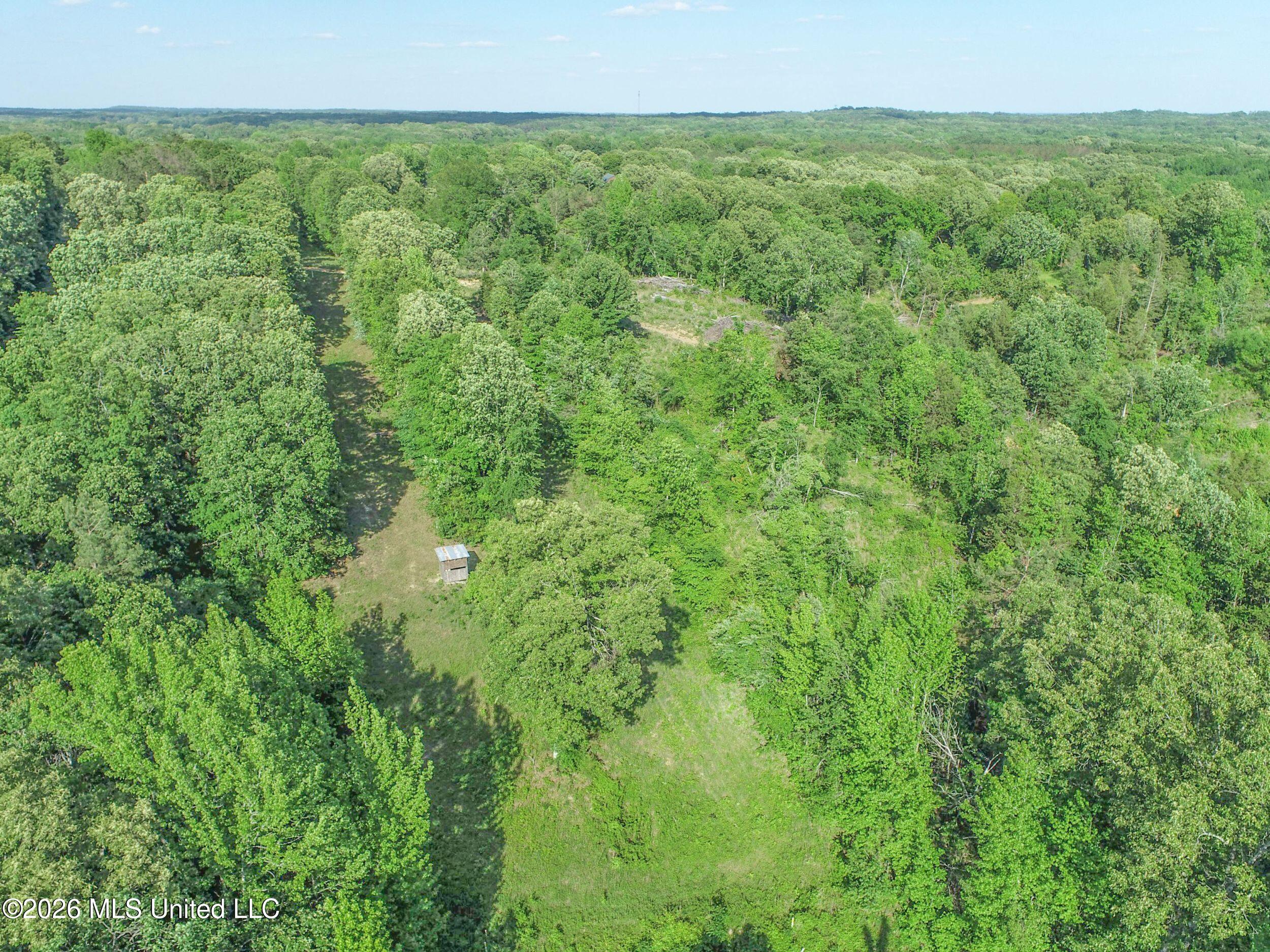 Wayne Massie Road Property Photo 66