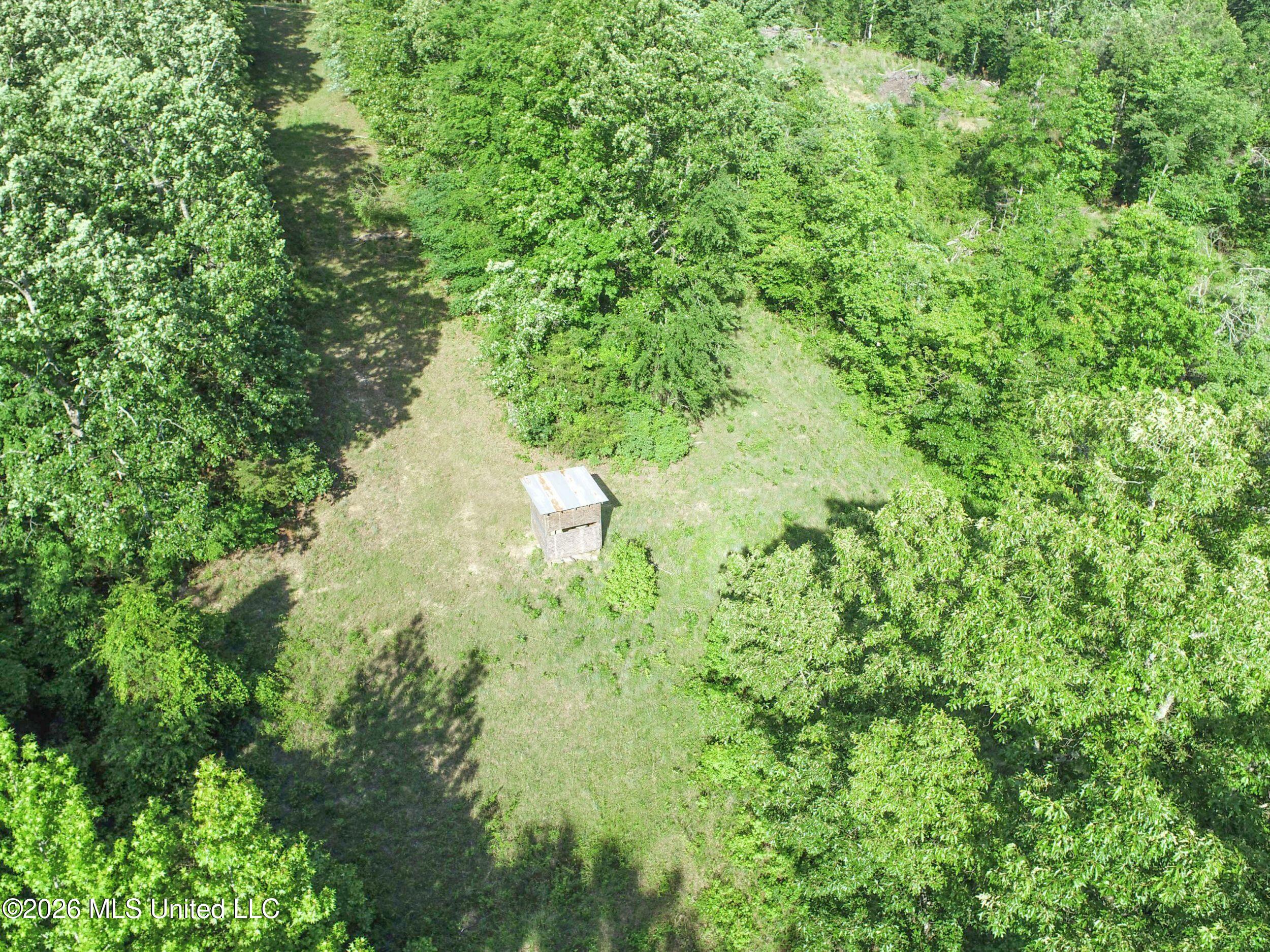 Wayne Massie Road Property Photo 67