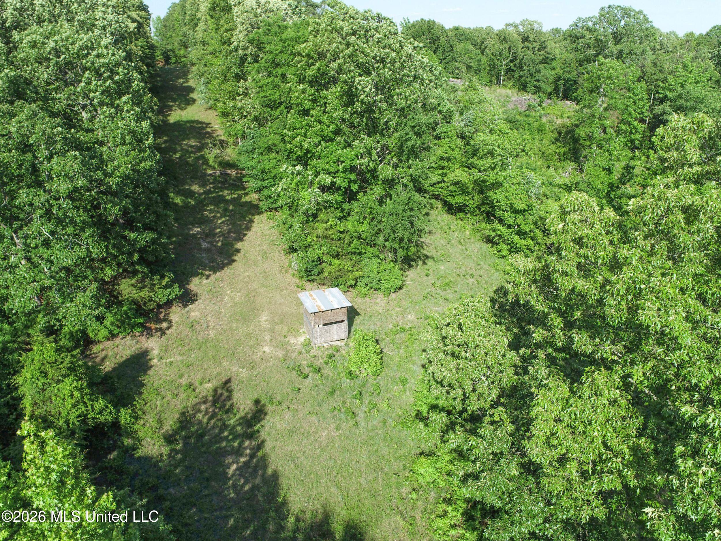 Wayne Massie Road Property Photo 68