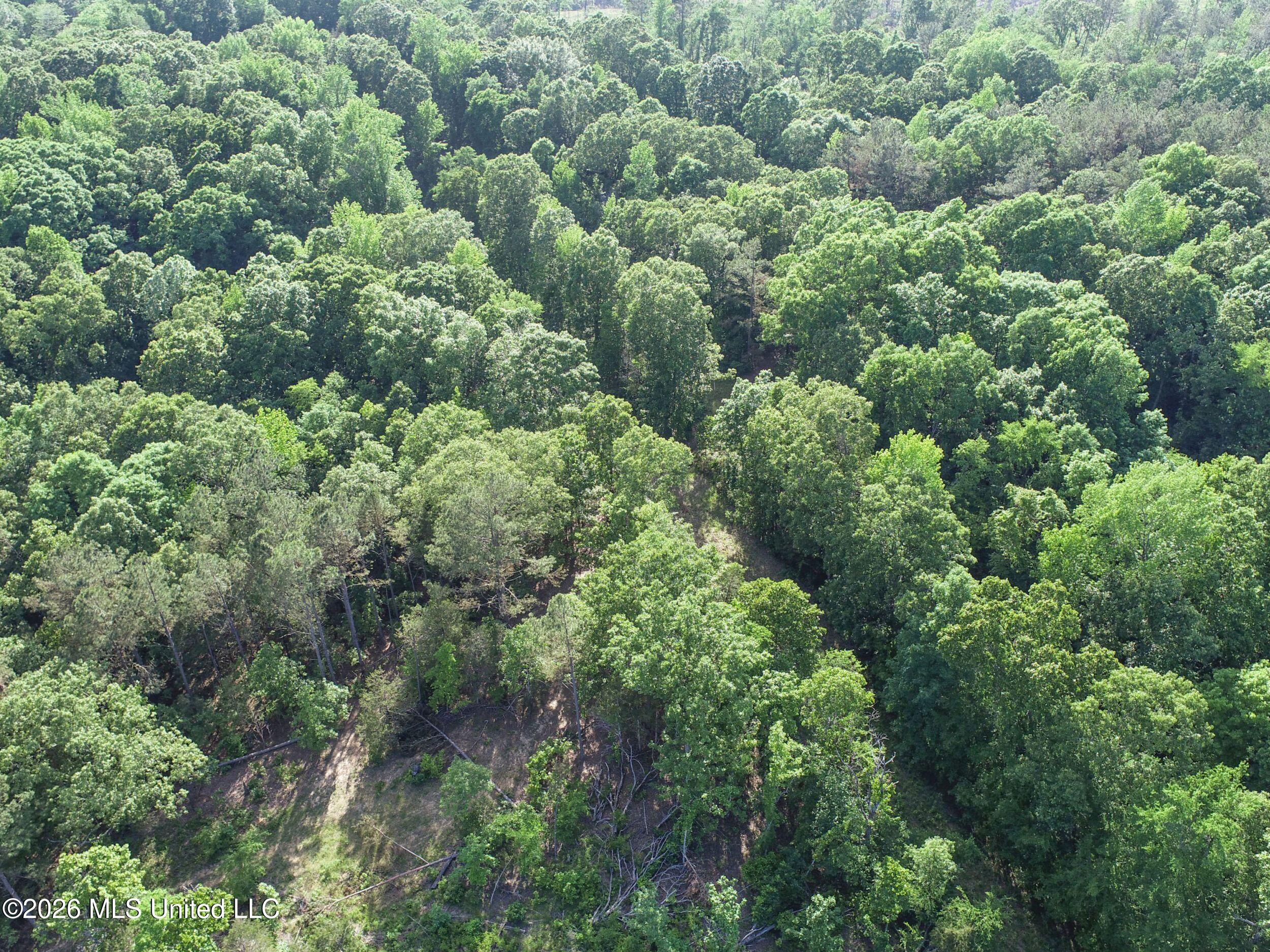 Wayne Massie Road Property Photo 71
