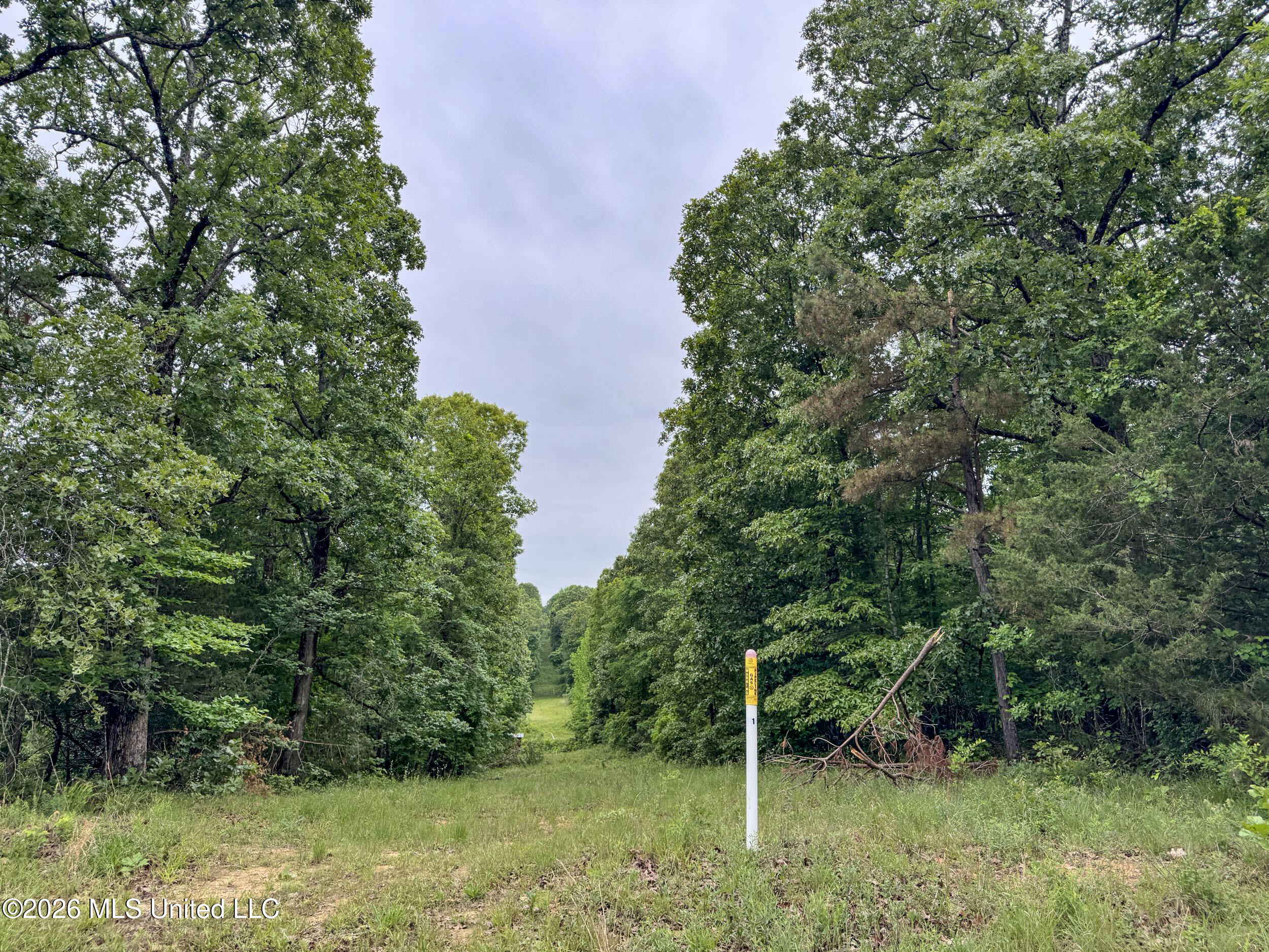 Wayne Massie Road Property Photo 78