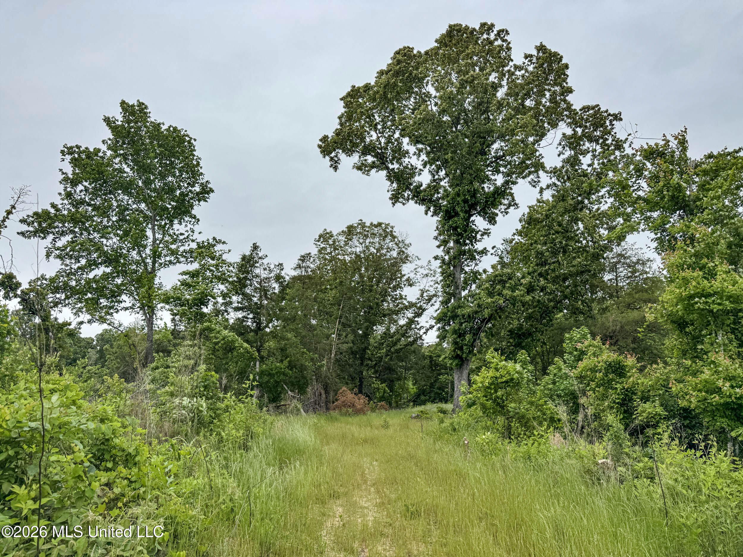 Wayne Massie Road Property Photo 79