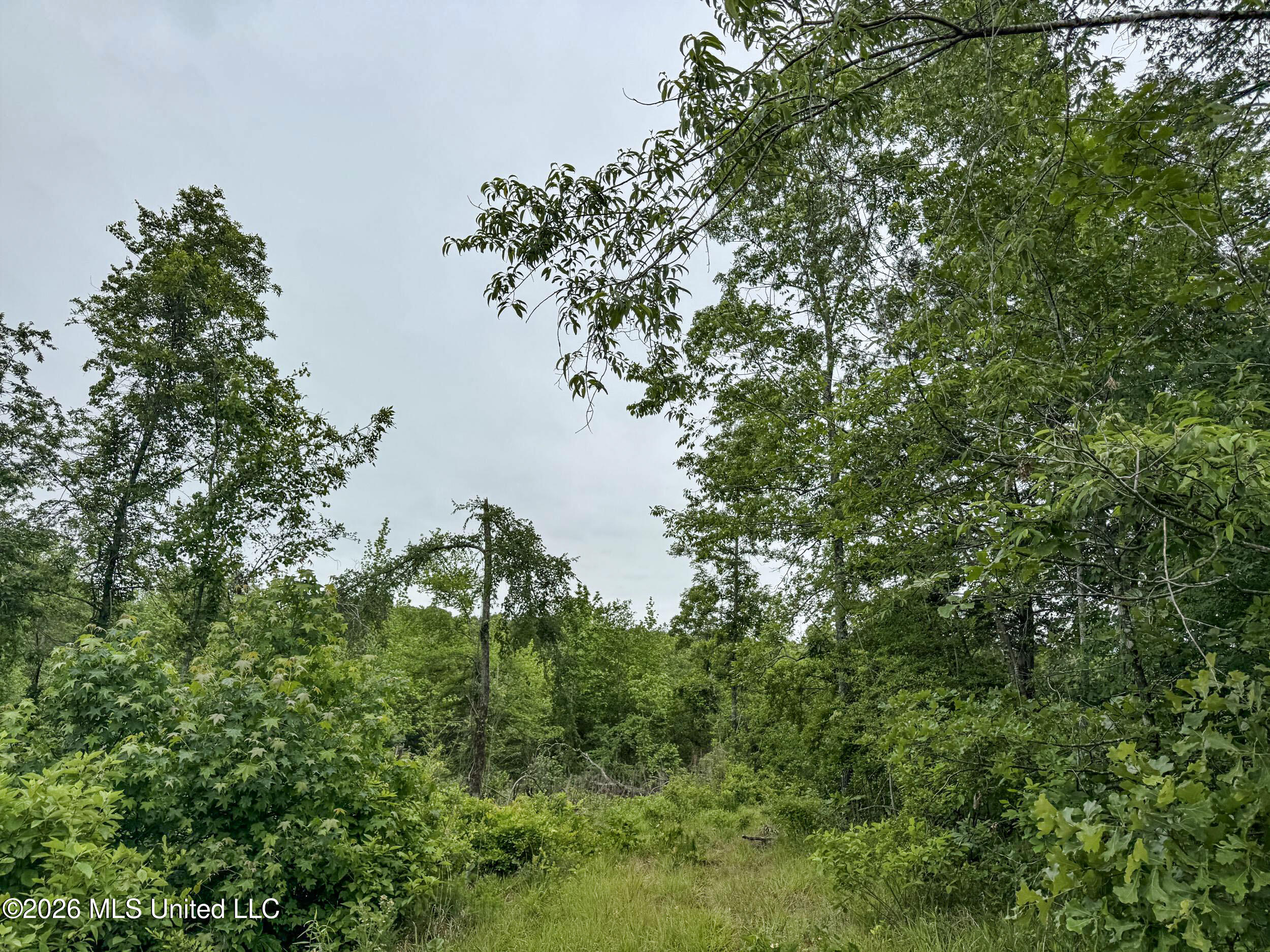 Wayne Massie Road Property Photo 80