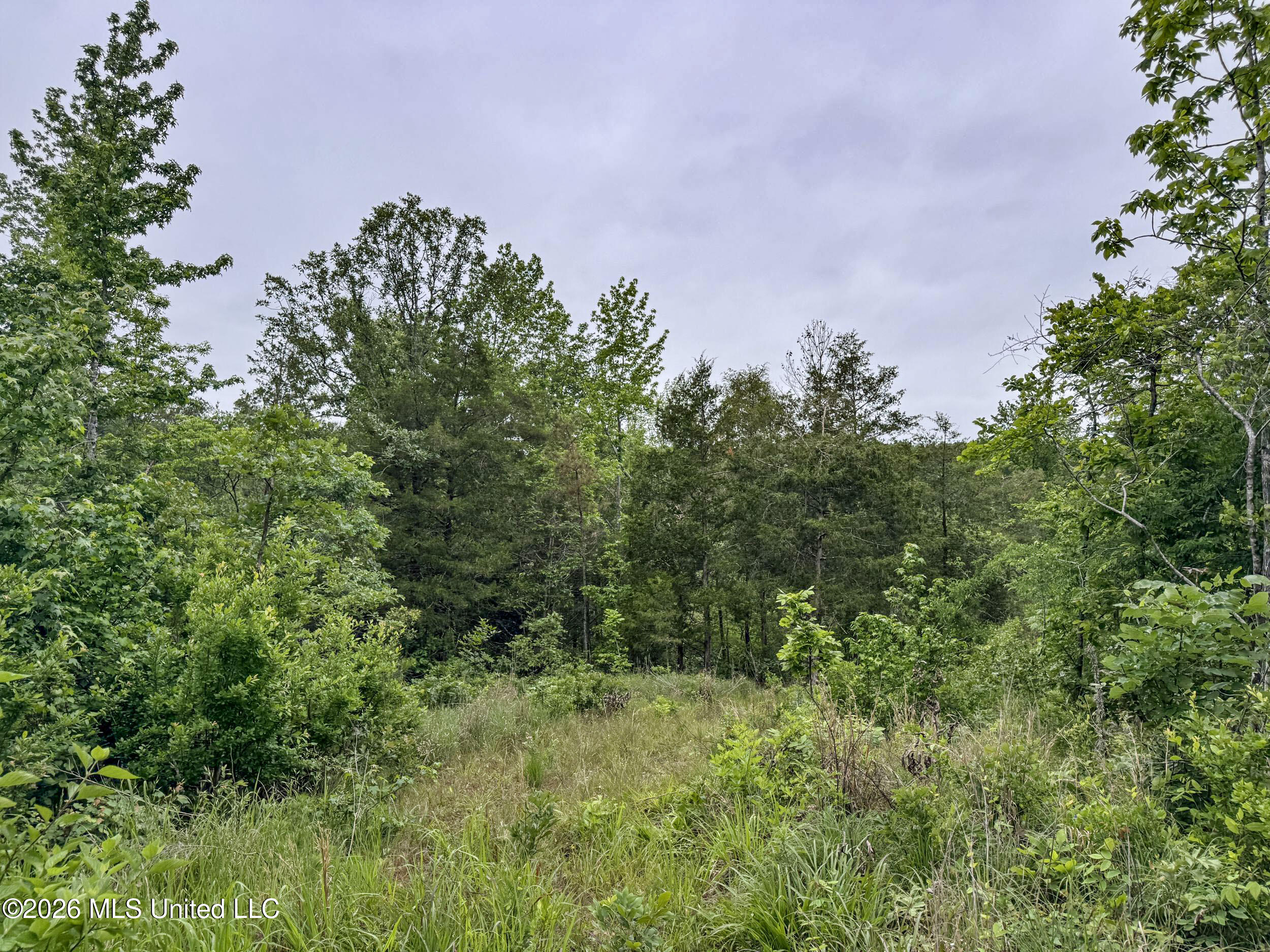 Wayne Massie Road Property Photo 82