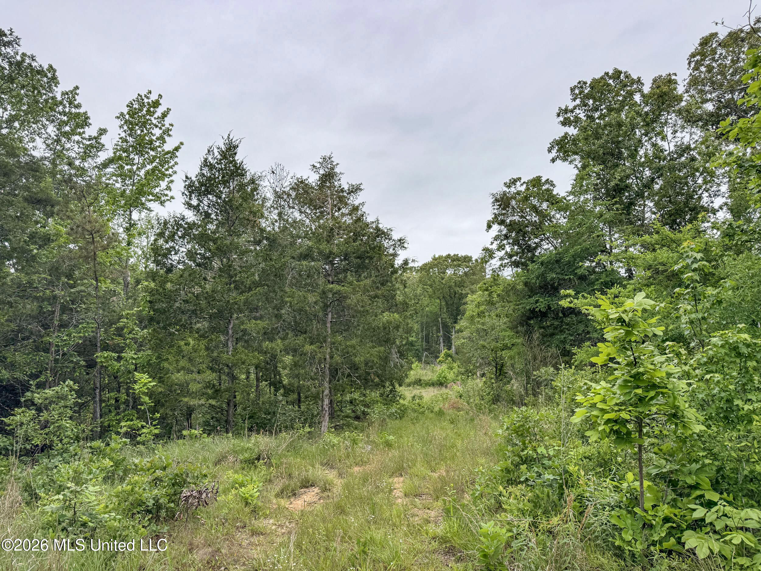 Wayne Massie Road Property Photo 83