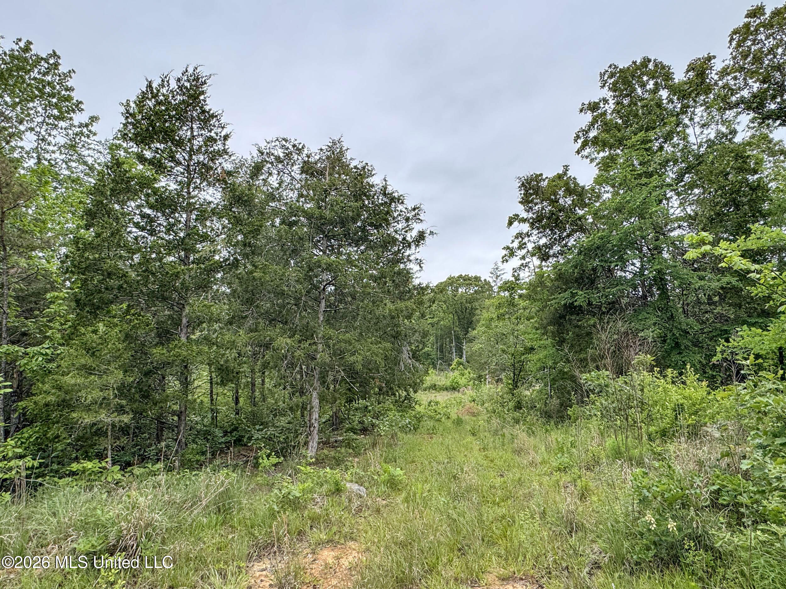 Wayne Massie Road Property Photo 84