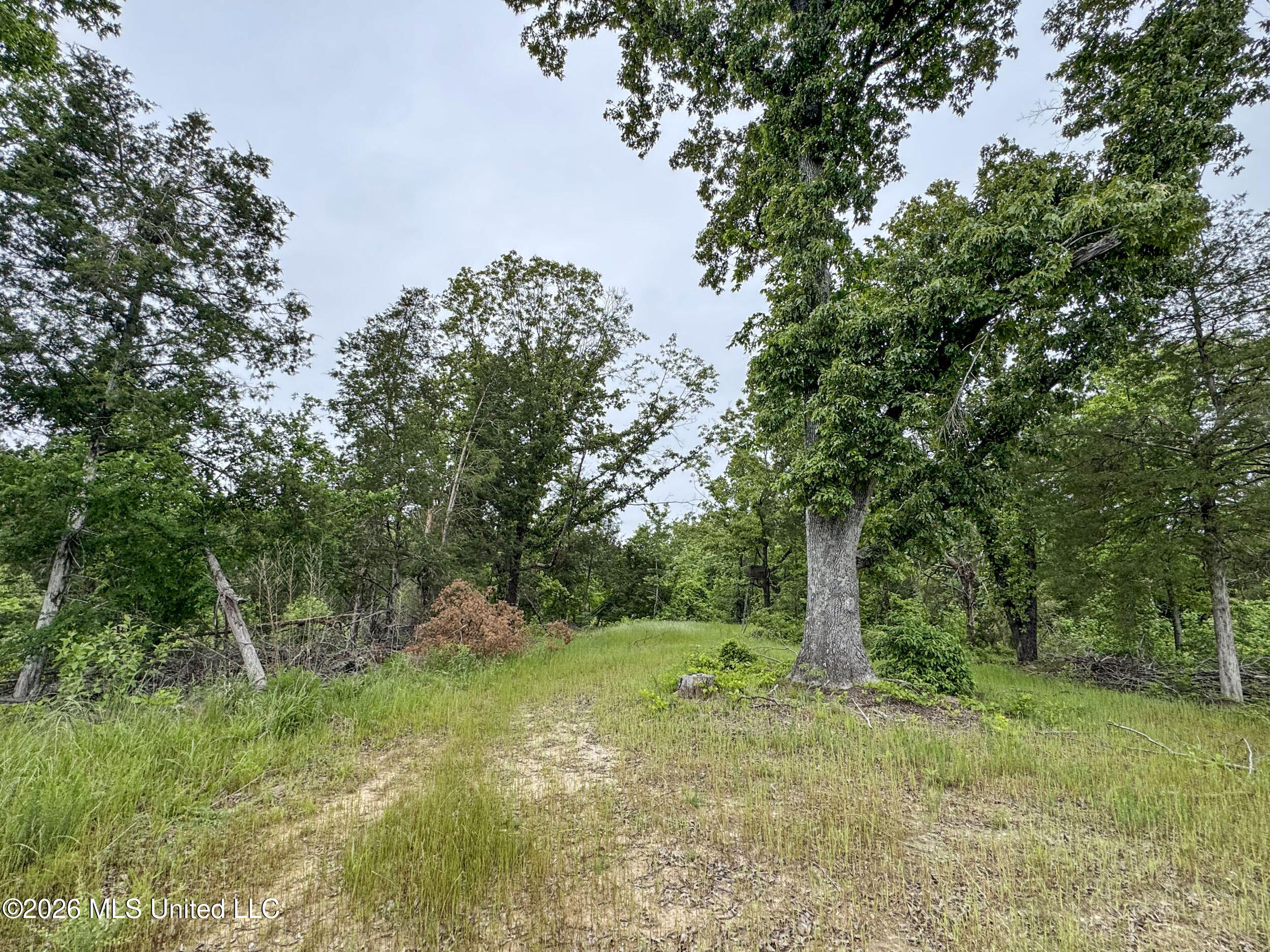 Wayne Massie Road Property Photo 88
