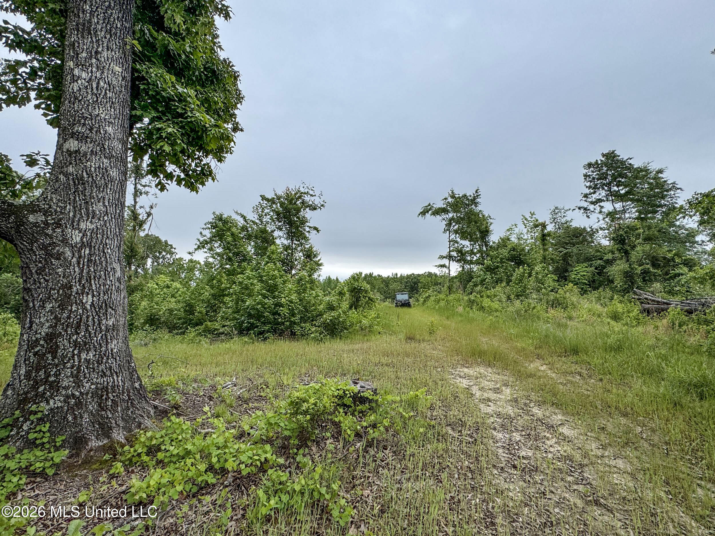 Wayne Massie Road Property Photo 90